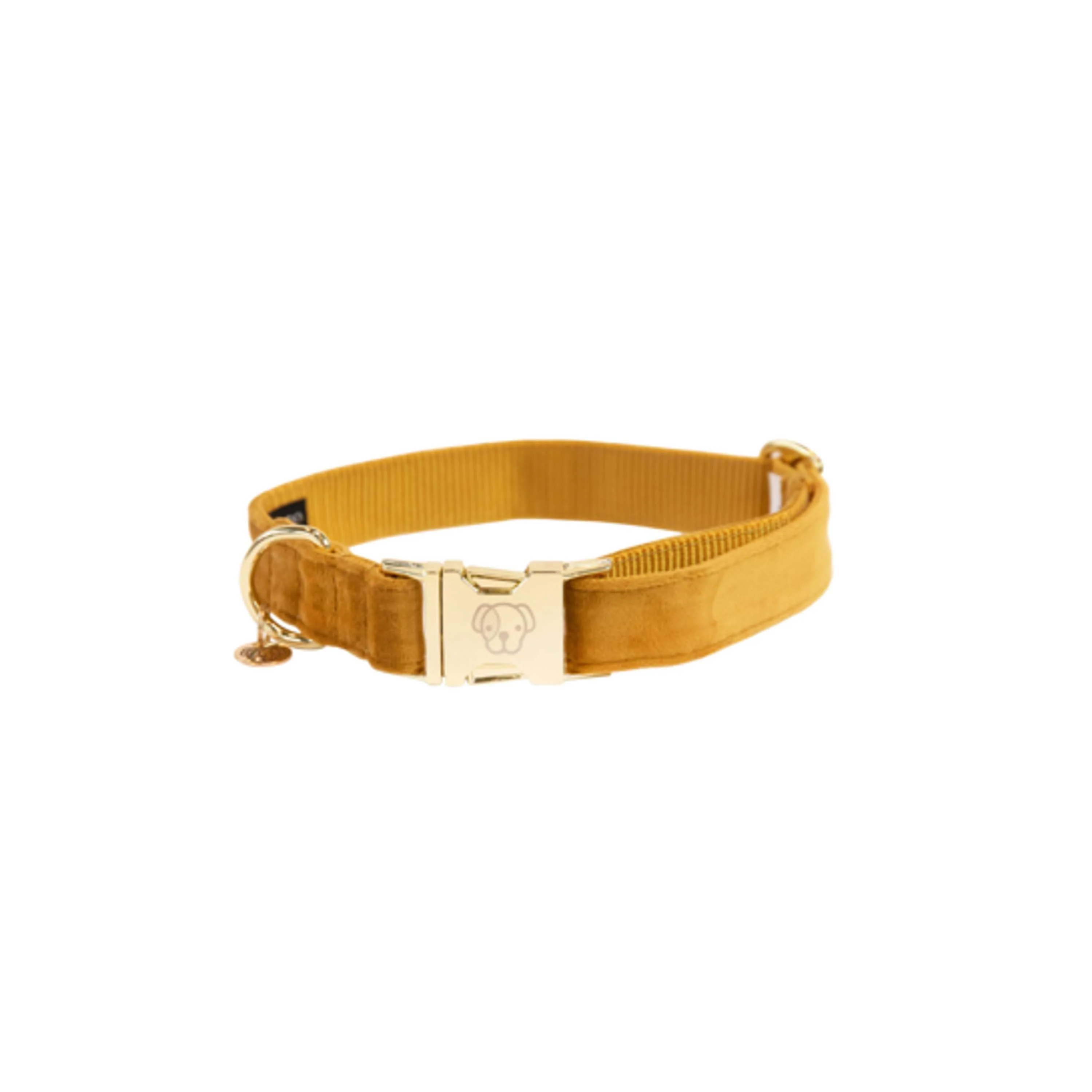 Kentucky Collier velours Moutarde - Image 4