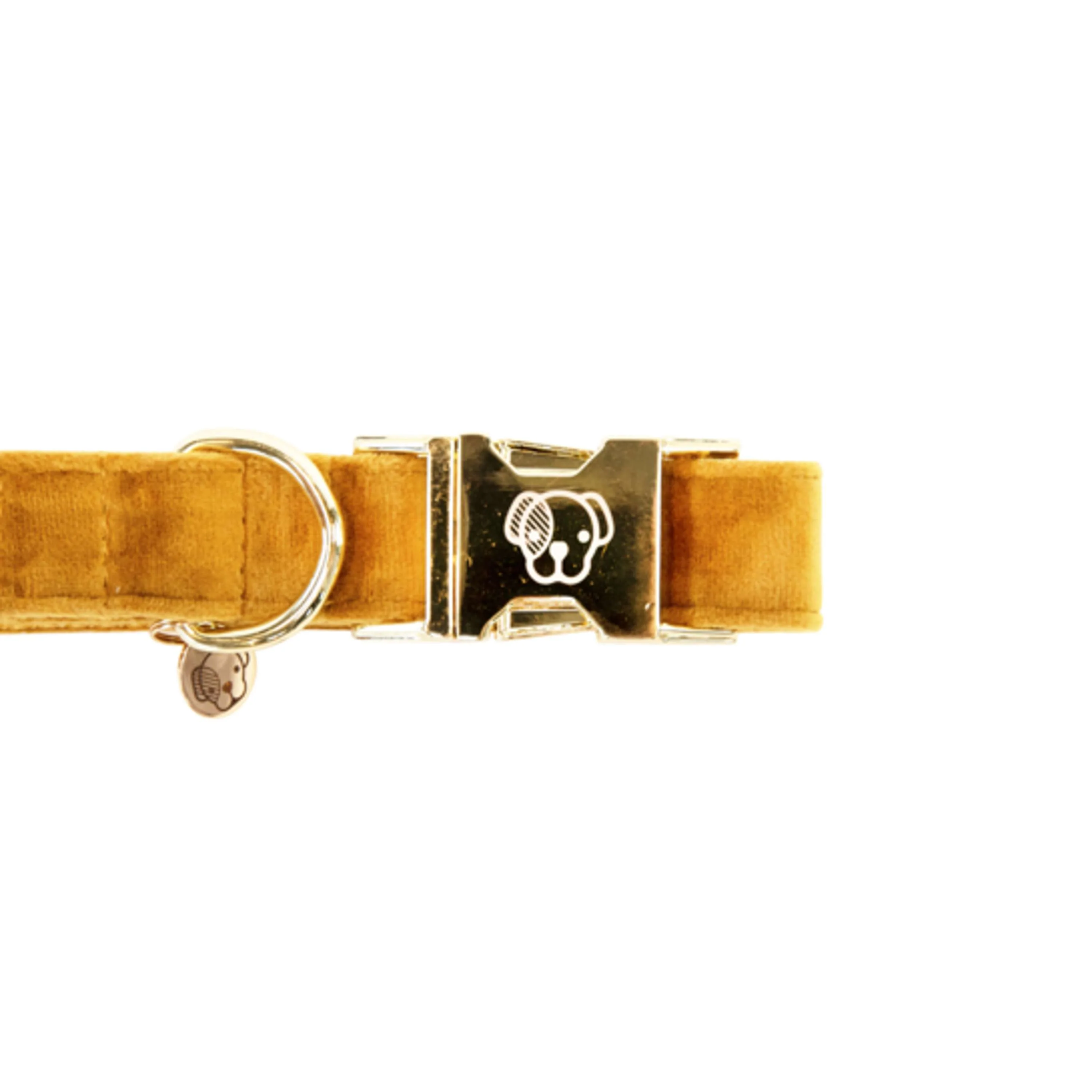 Kentucky Collier velours Moutarde - Image 5