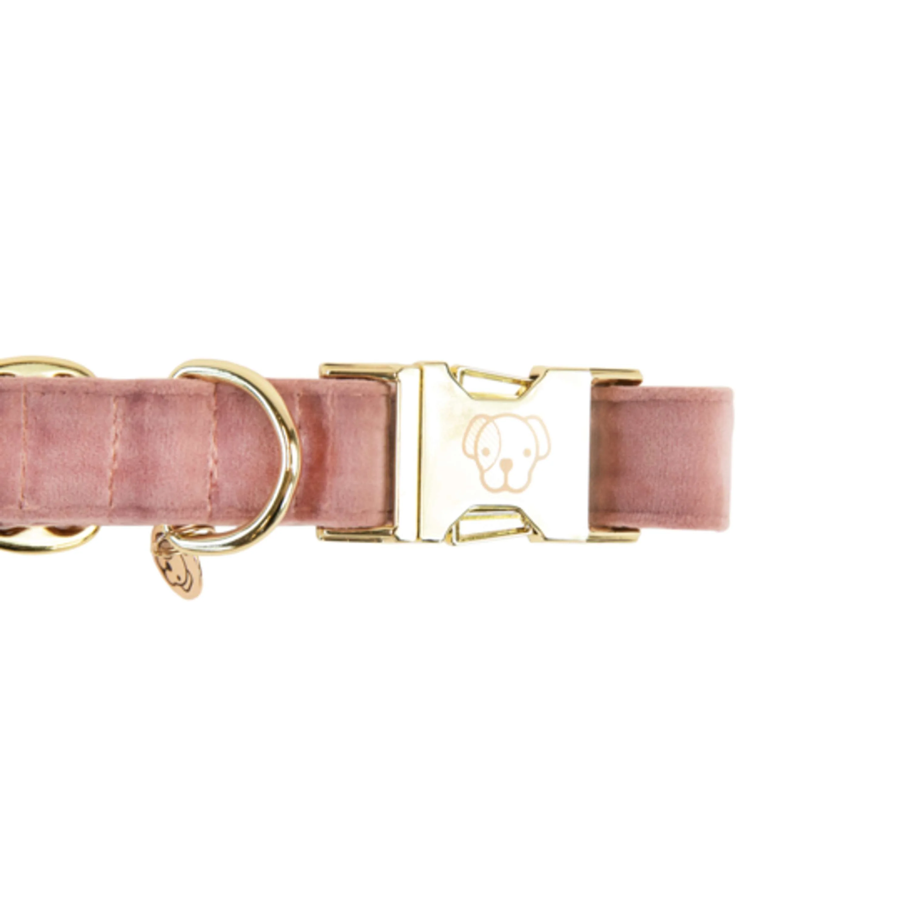 Kentucky Collier velours Old Rose - Image 4