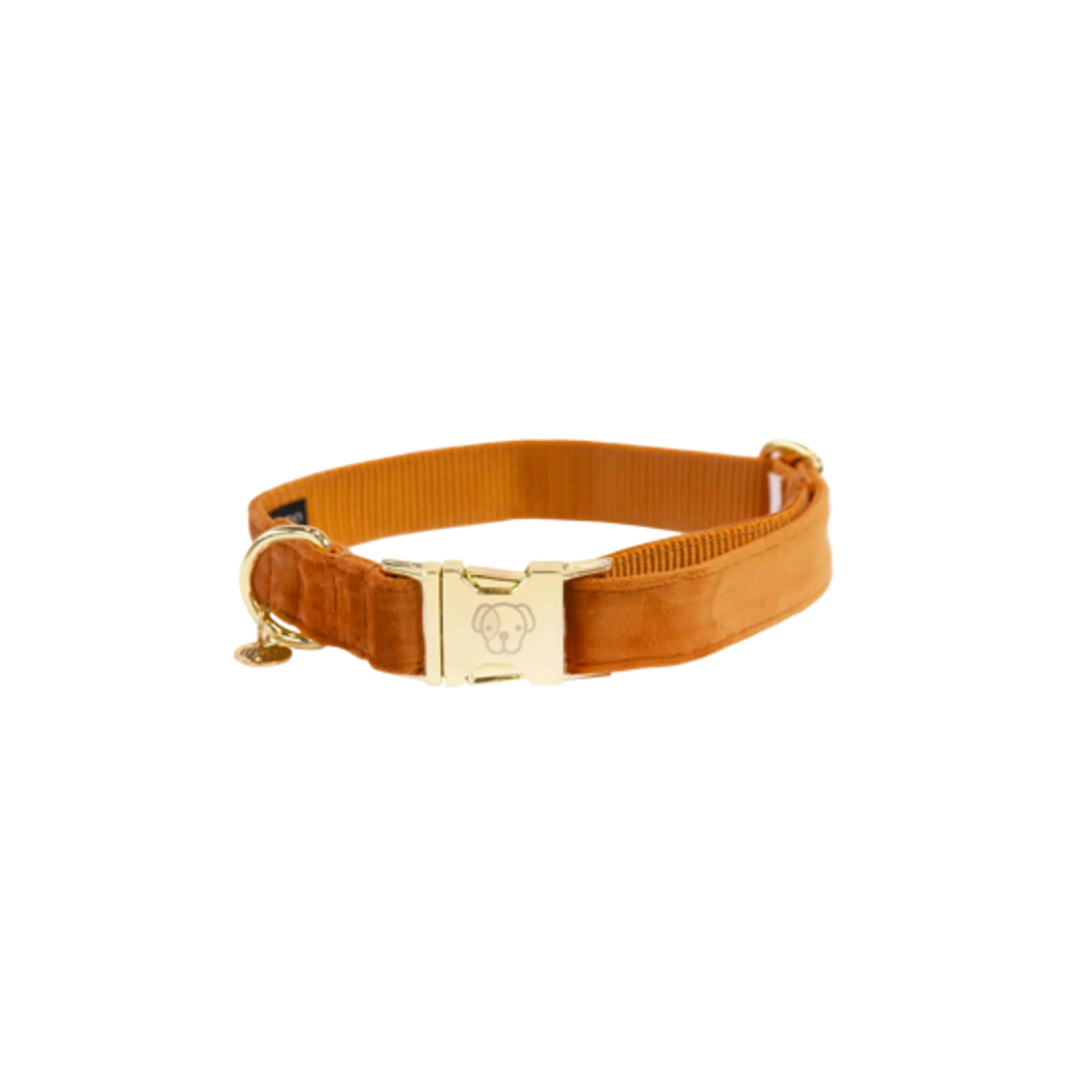 Kentucky Collier velours Orange - Image 5