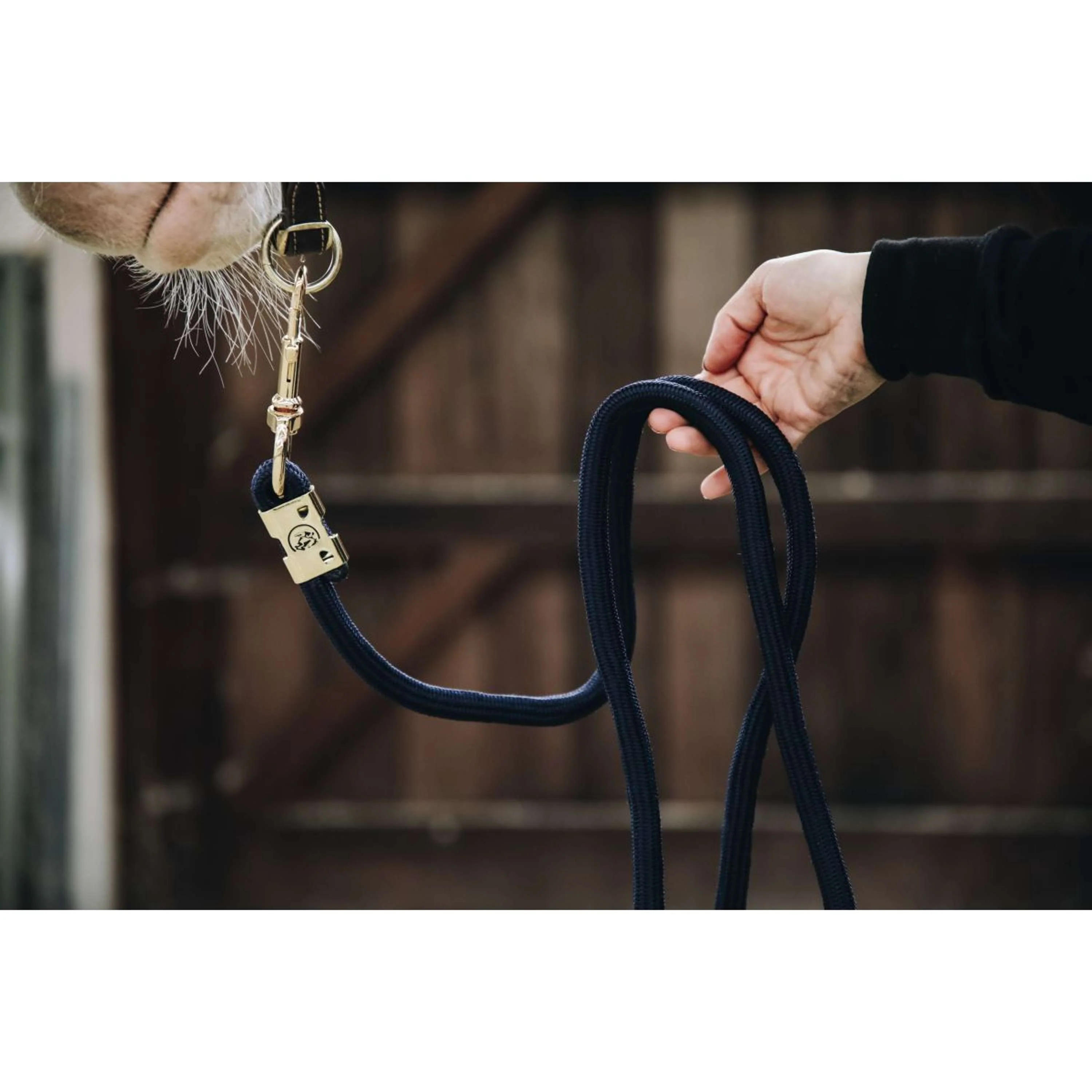 Kentucky Corde pour Licol Basic Marin - Image 2