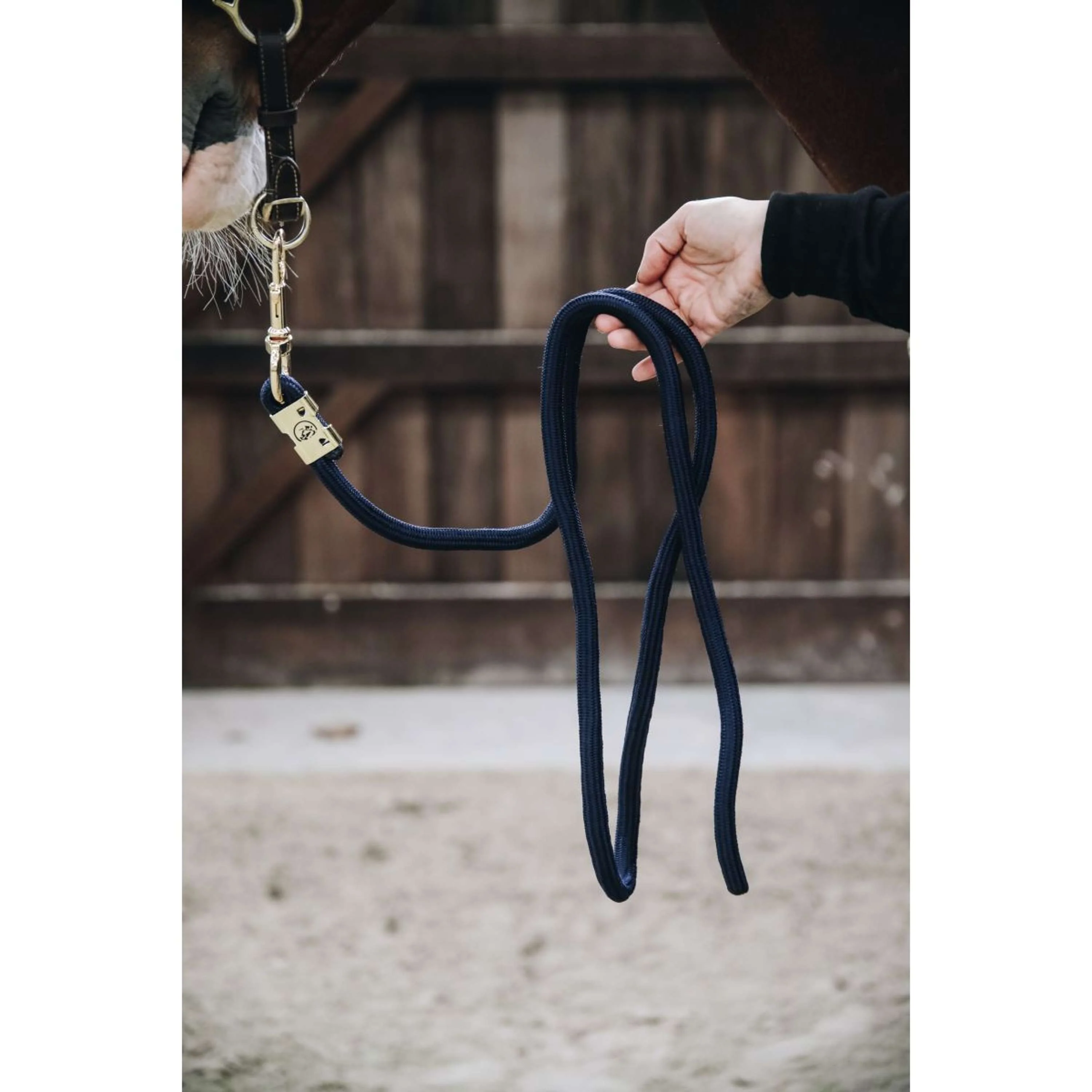Kentucky Corde pour Licol Basic Marin - Image 4