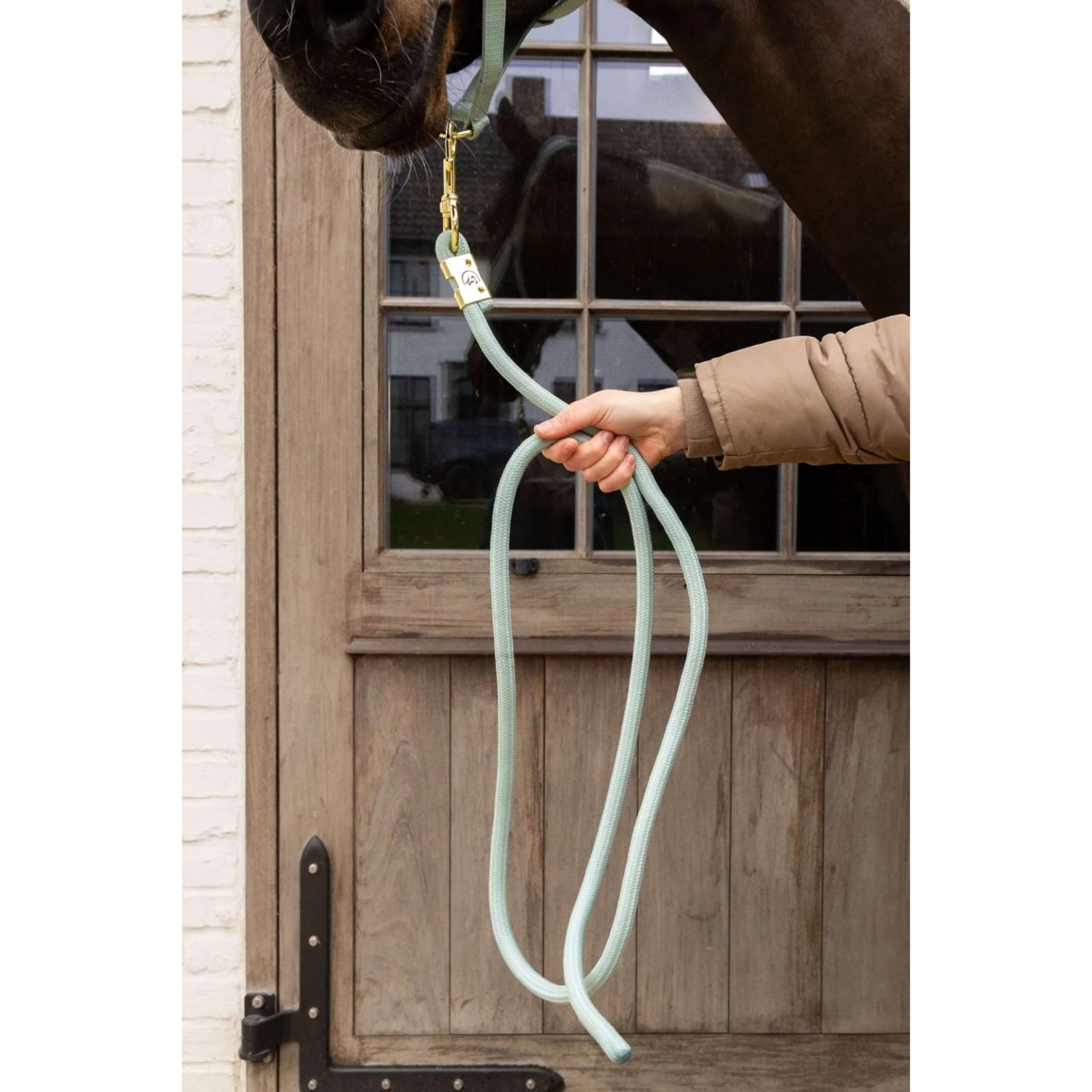 Kentucky Corde pour Licol Basic Menthe - Image 2