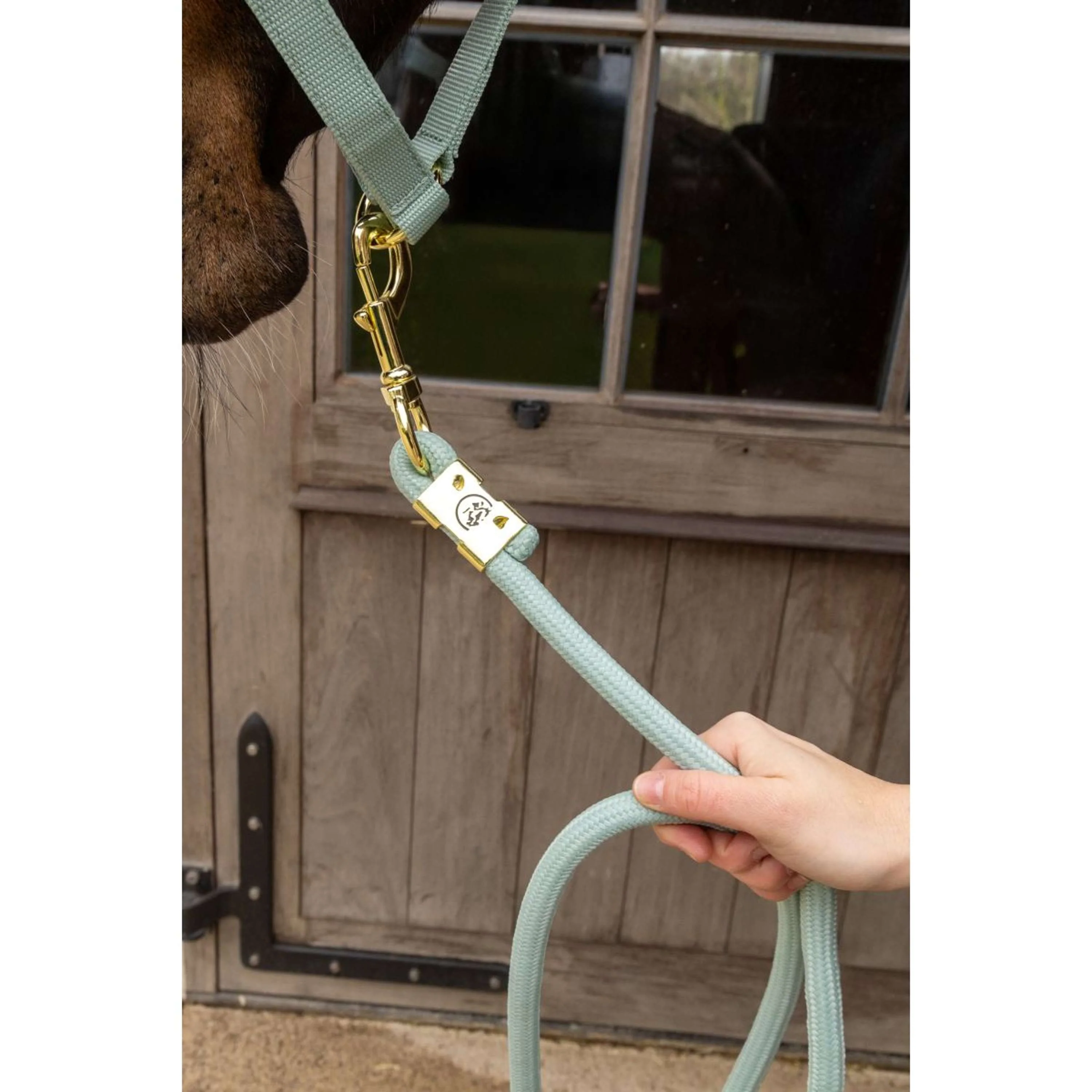 Kentucky Corde pour Licol Basic Menthe - Image 3
