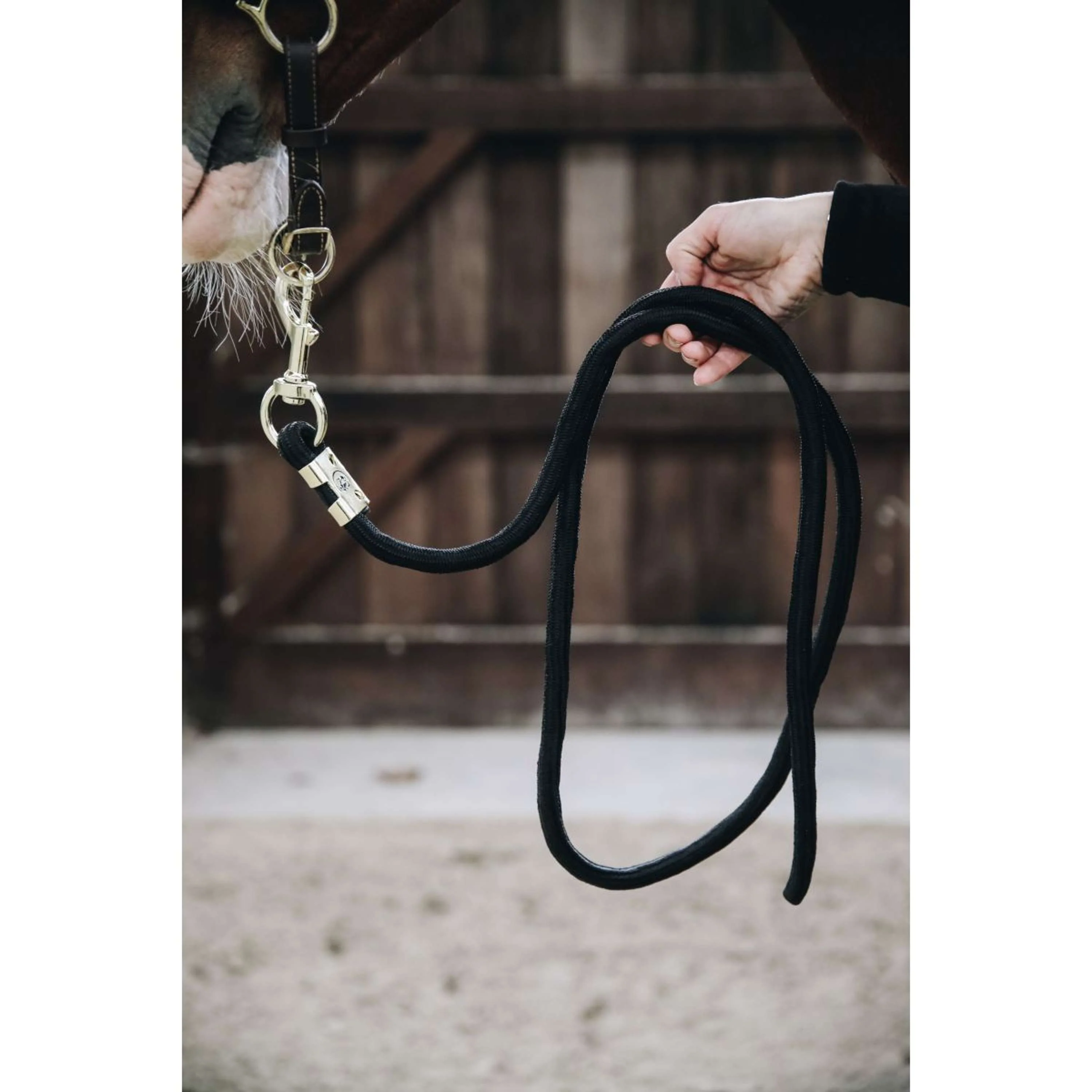 Kentucky Corde pour Licol Basic Noir - Image 3