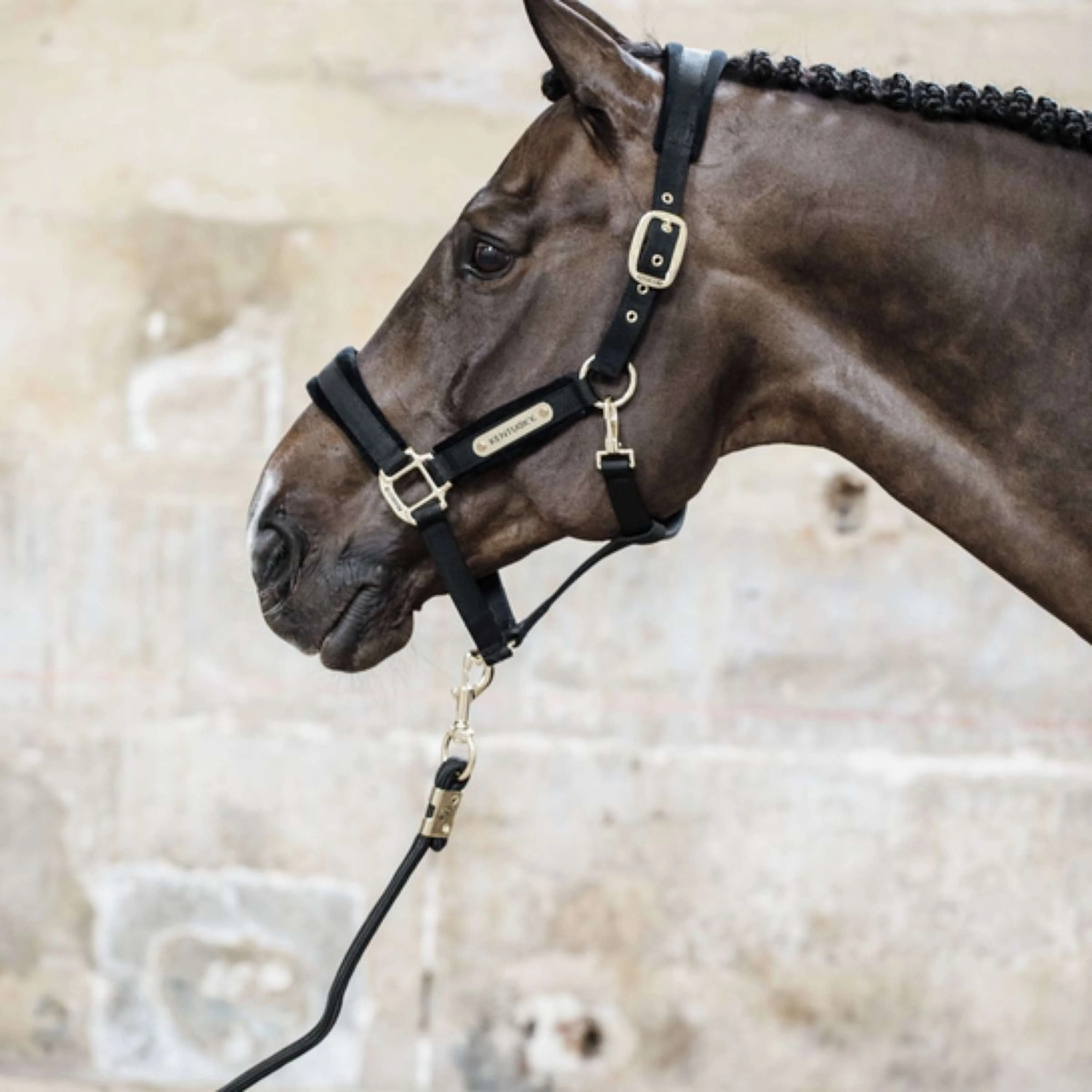Kentucky Corde pour Licol Basic Noir - Image 4