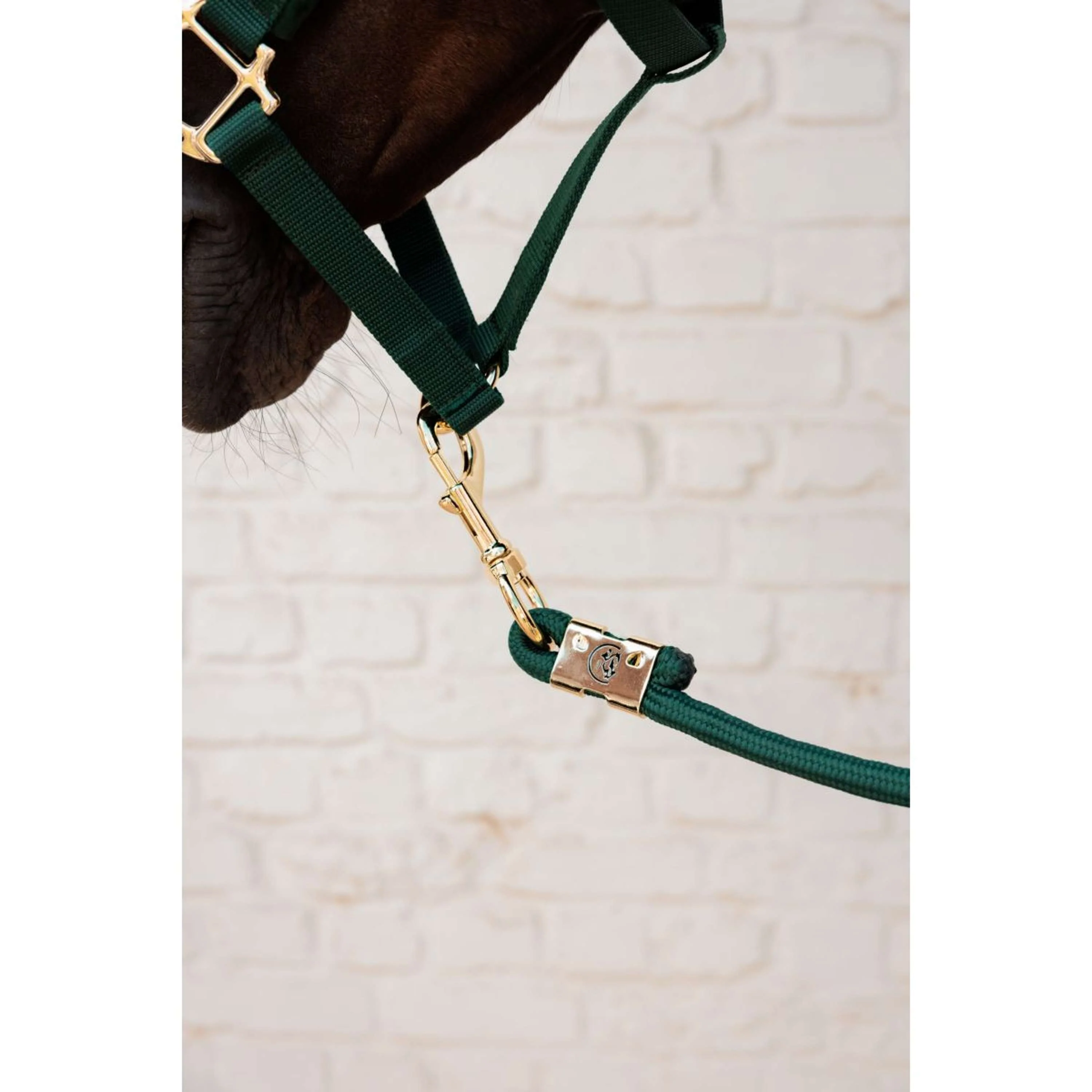 Kentucky Corde pour Licol Basic Pine Green - Image 3