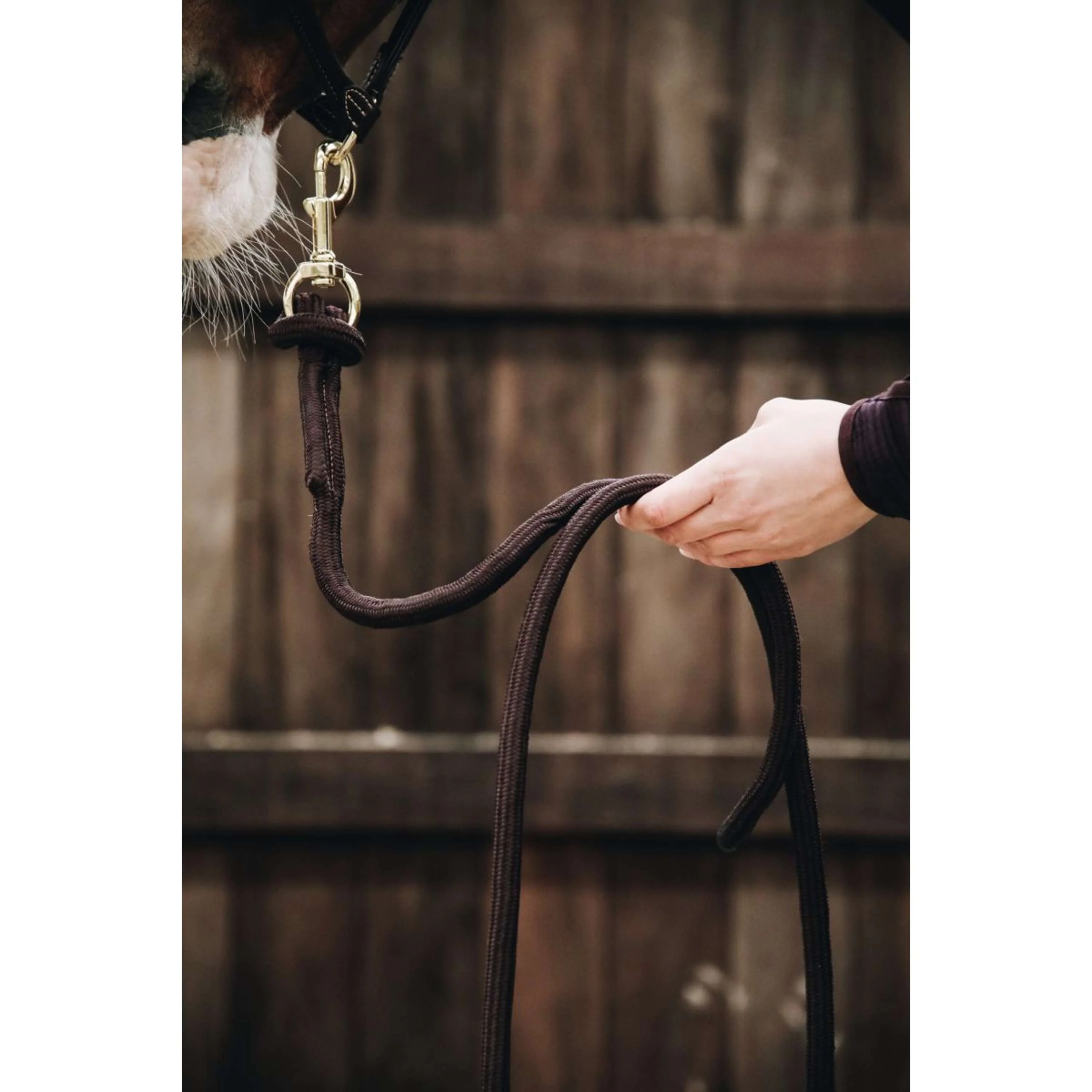 Kentucky Corde pour Licol Loop Marron - Image 2