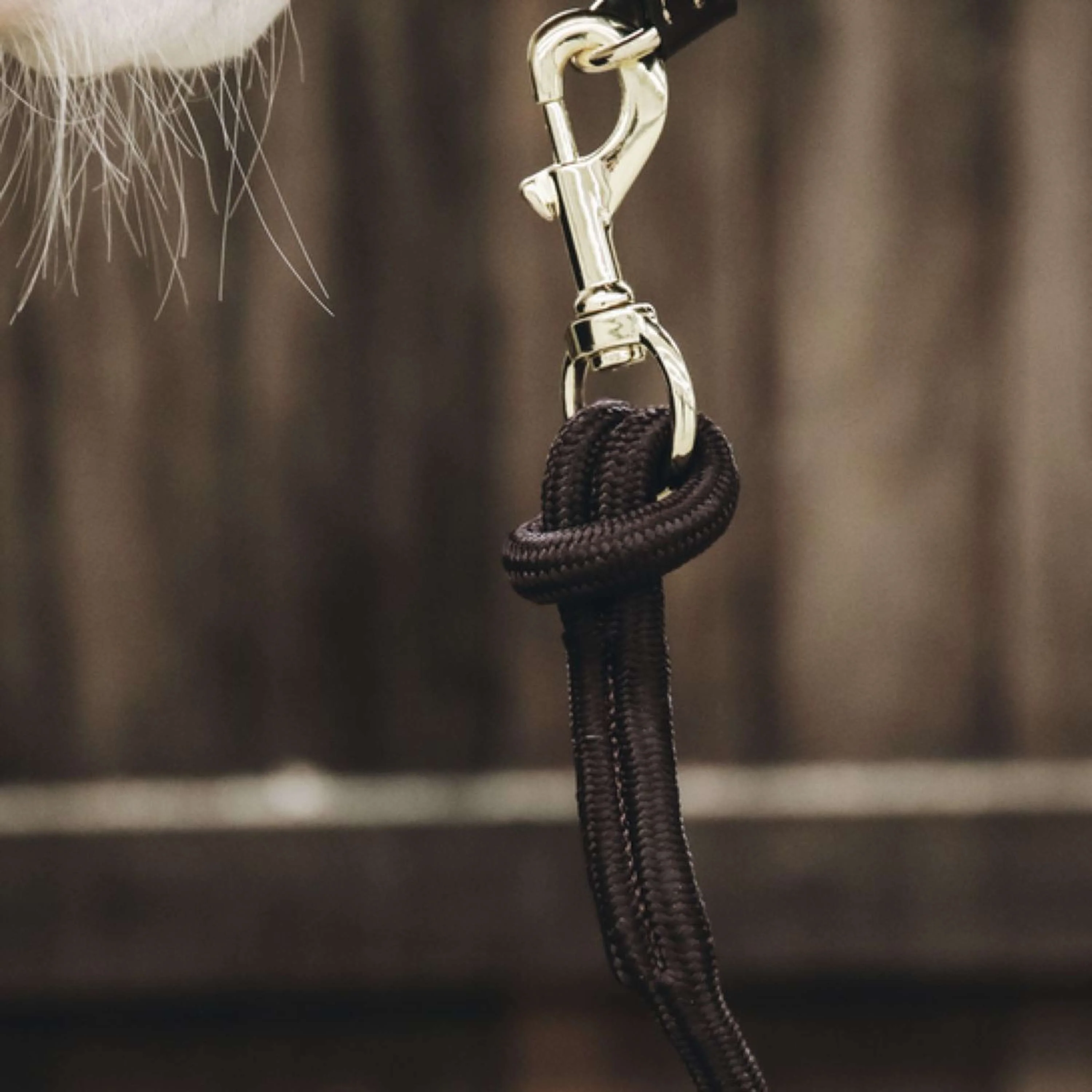 Kentucky Corde pour Licol Loop Marron - Image 3