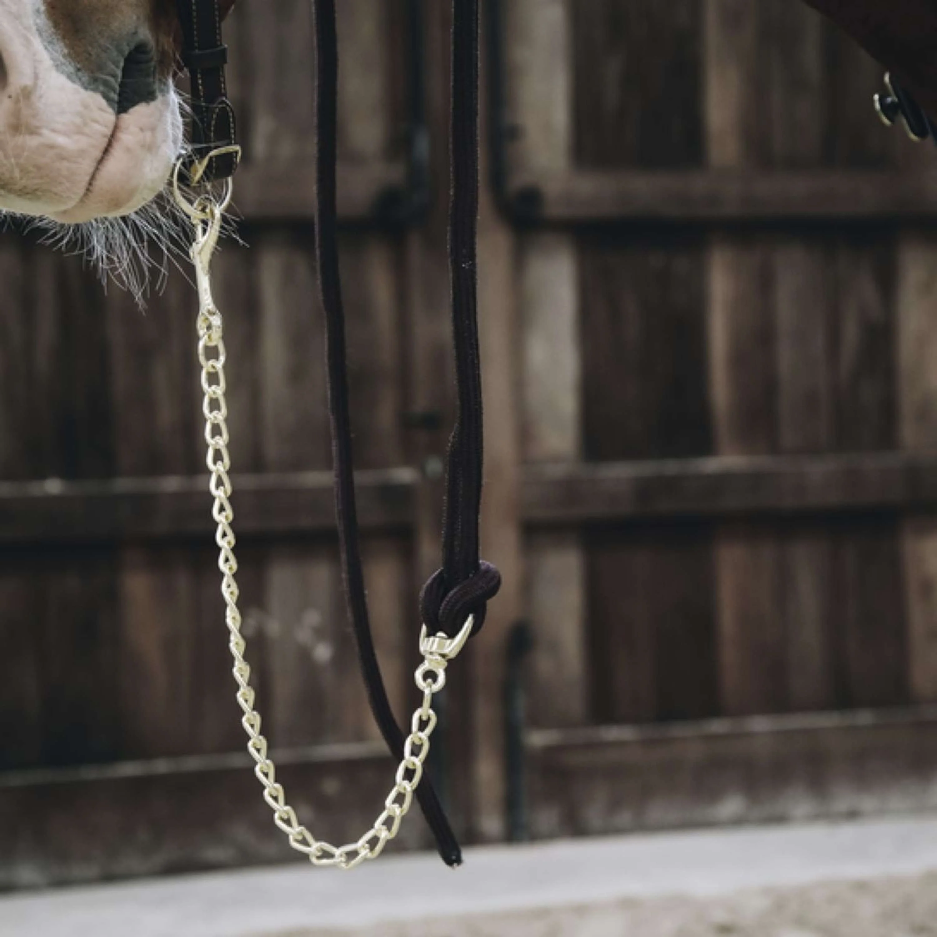 Kentucky Corde pour Licol Loop Marron - Image 4