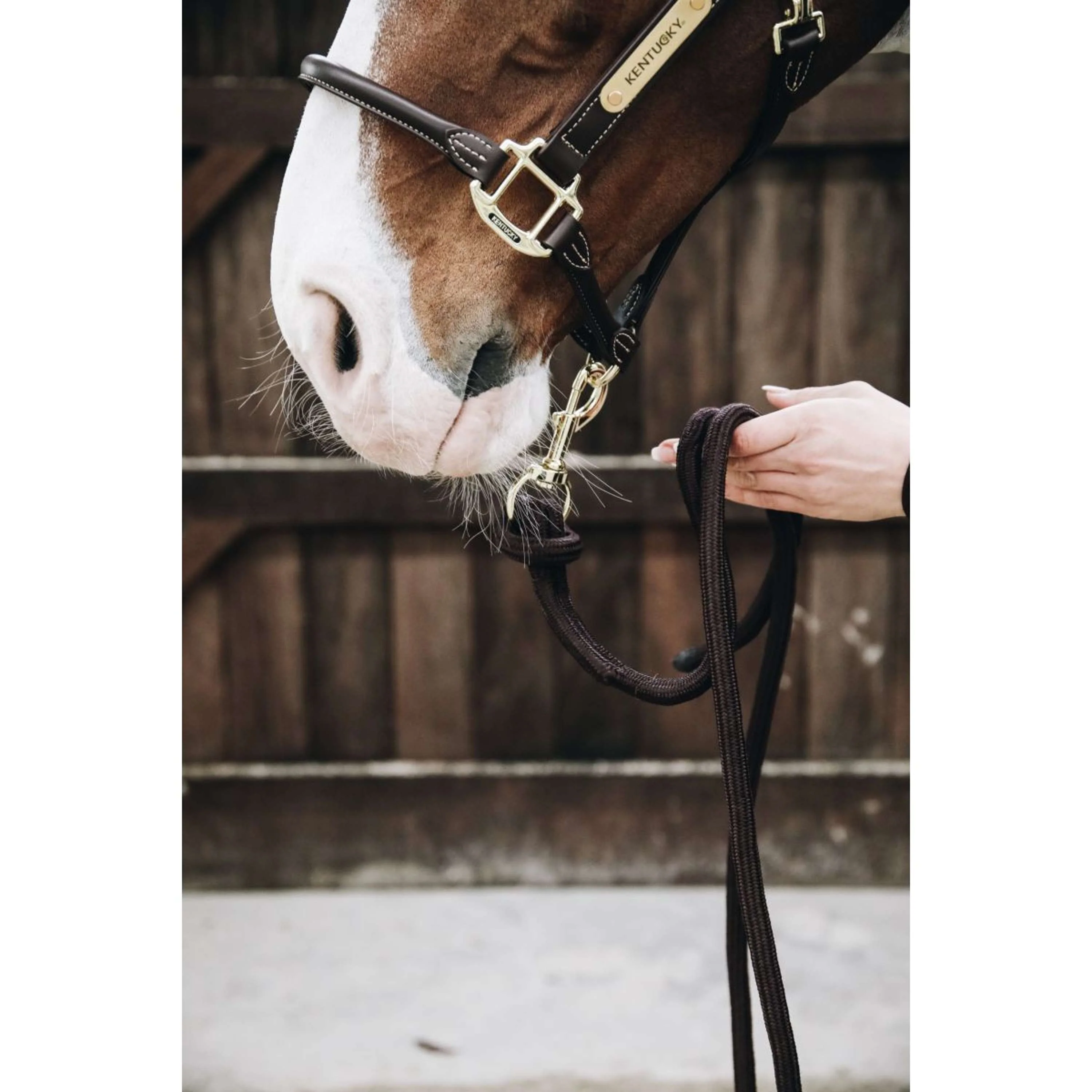 Kentucky Corde pour Licol Loop Marron - Image 6