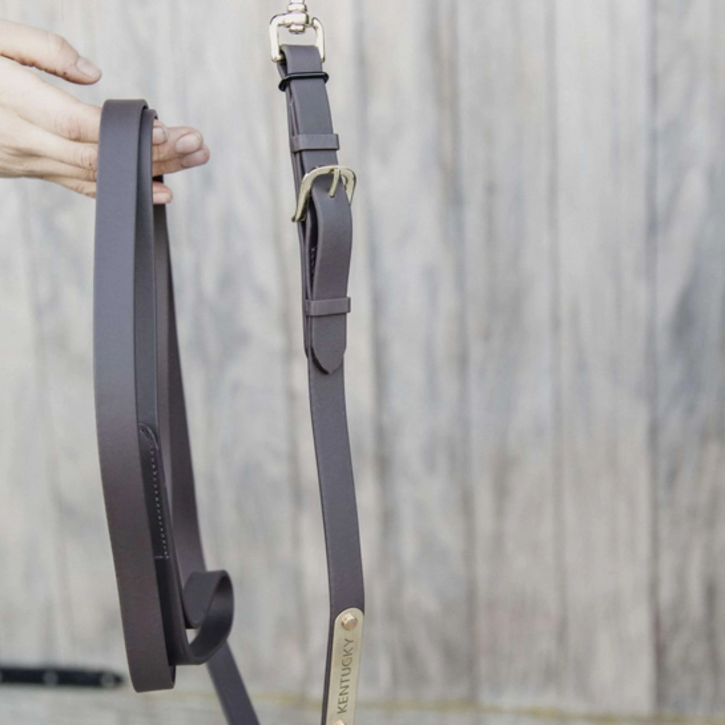 Kentucky Corde pour Licol Marron - Image 2