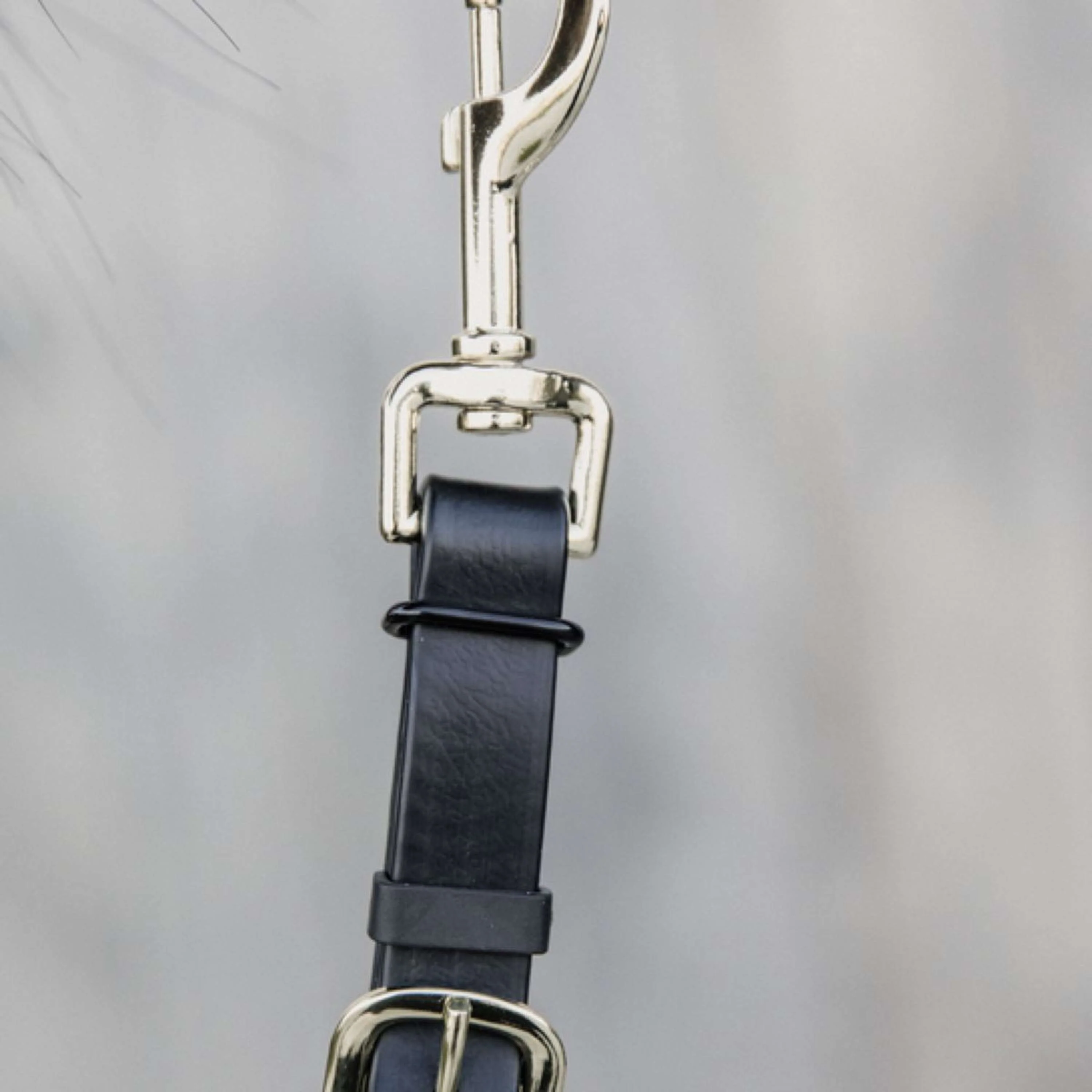 Kentucky Corde pour Licol Noir - Image 2