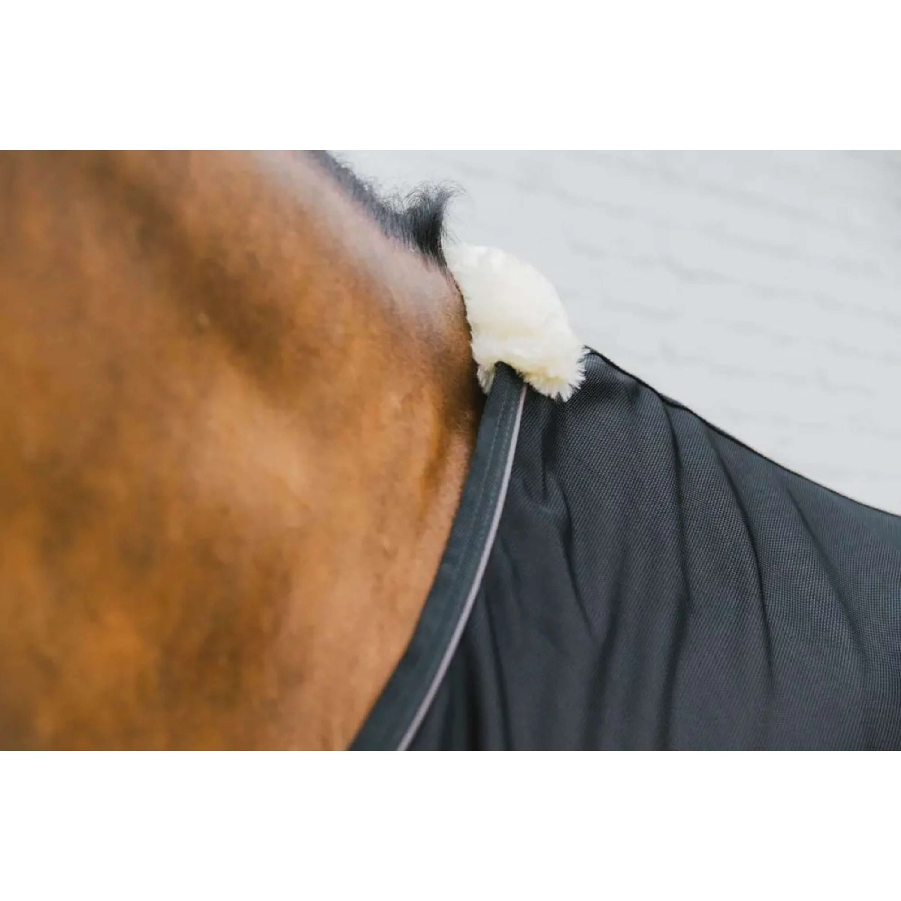 Kentucky Couverture Anti-Mouches Mesh Noir 125/175 Noir - Image 5