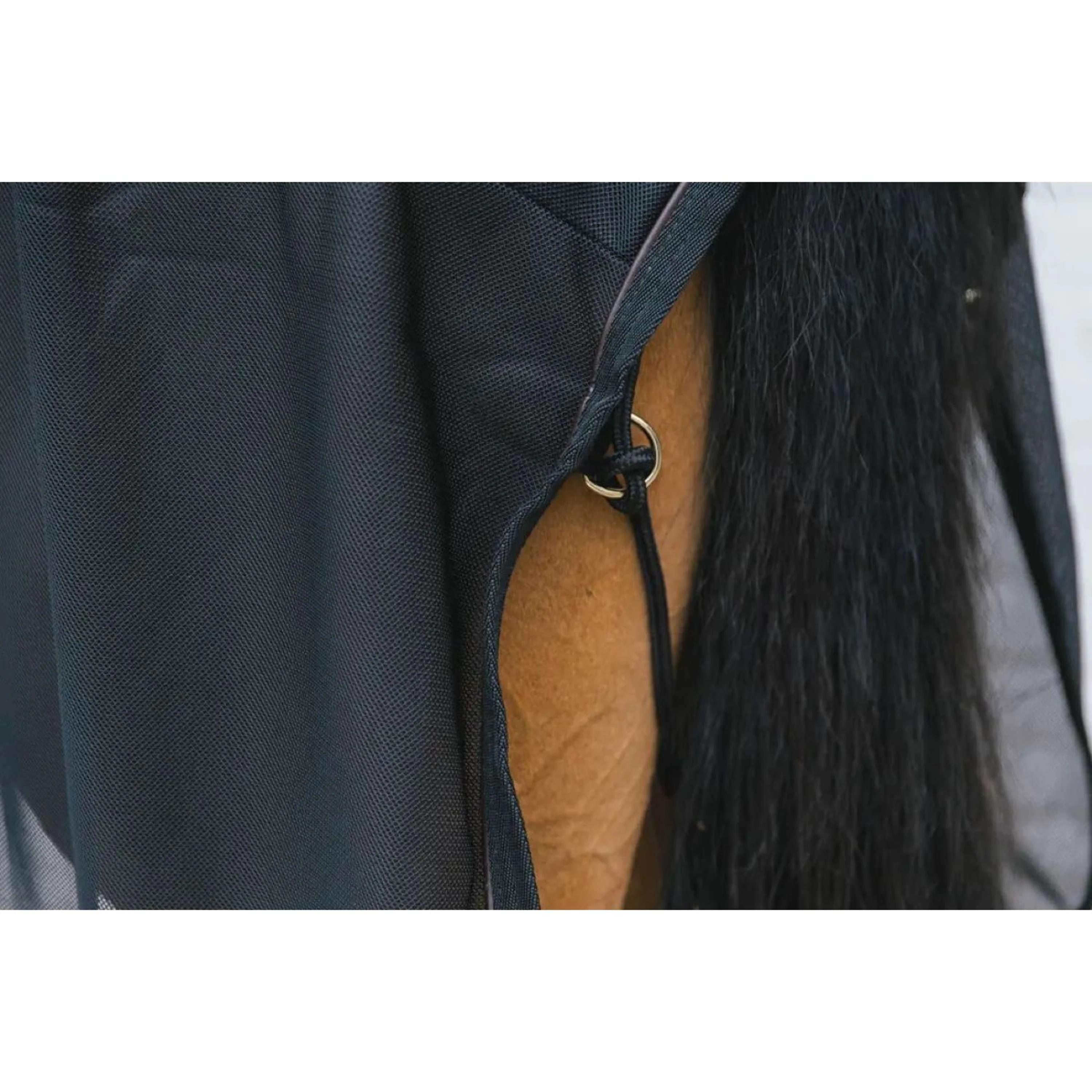 Kentucky Couverture Anti-Mouches Mesh Noir 125/175 Noir - Image 6