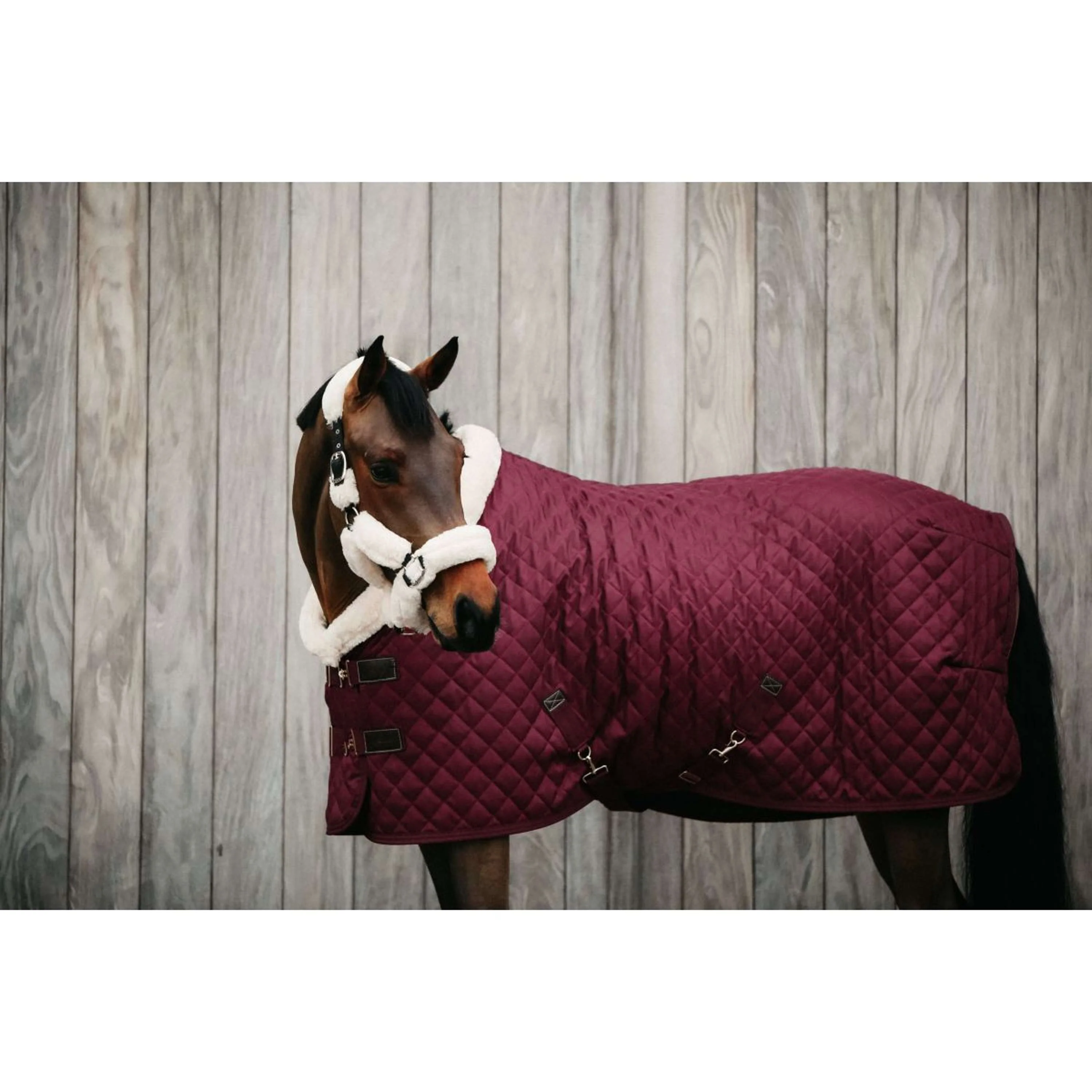 Kentucky Couverture de Concours 160g Bordeaux - Image 2