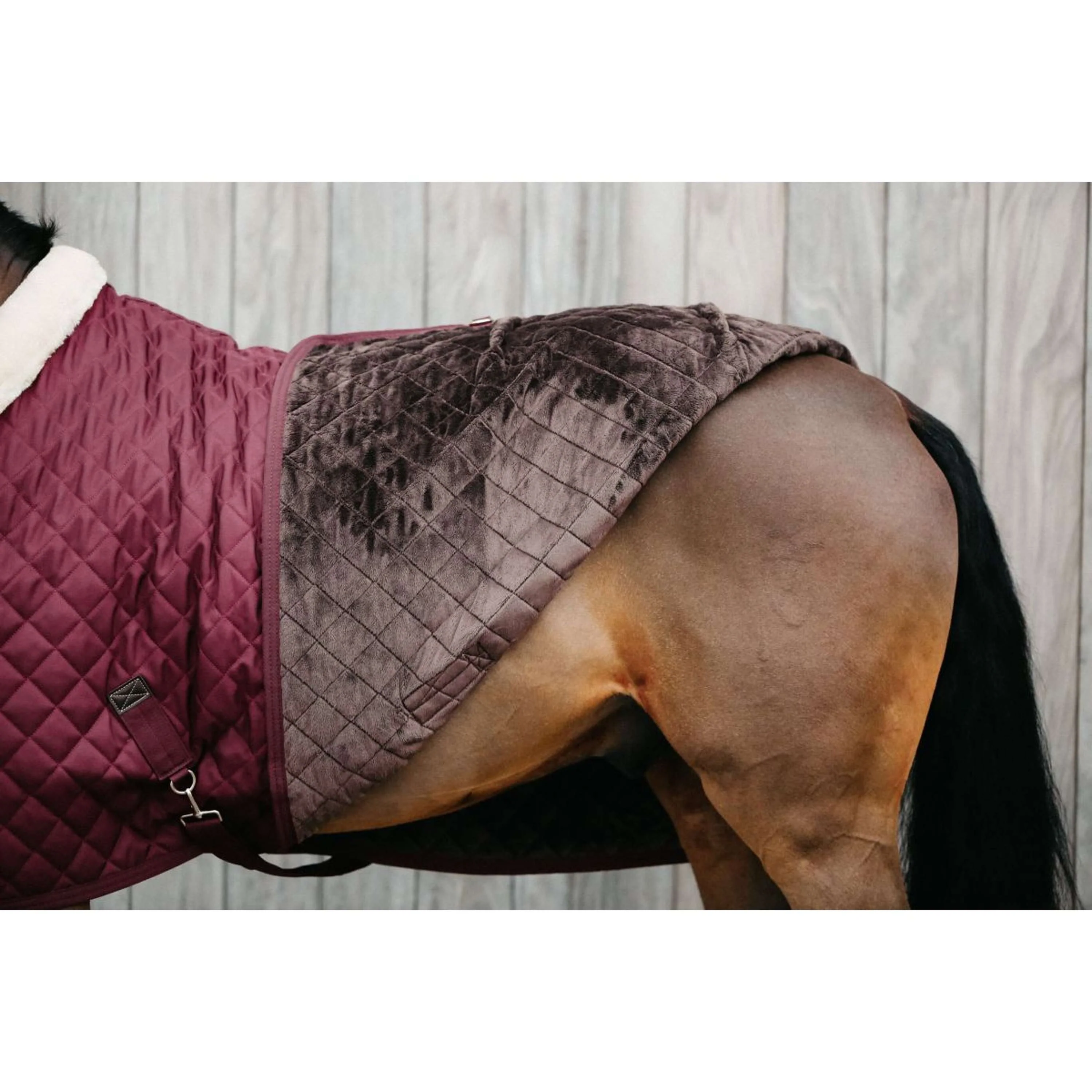 Kentucky Couverture de Concours 160g Bordeaux - Image 3