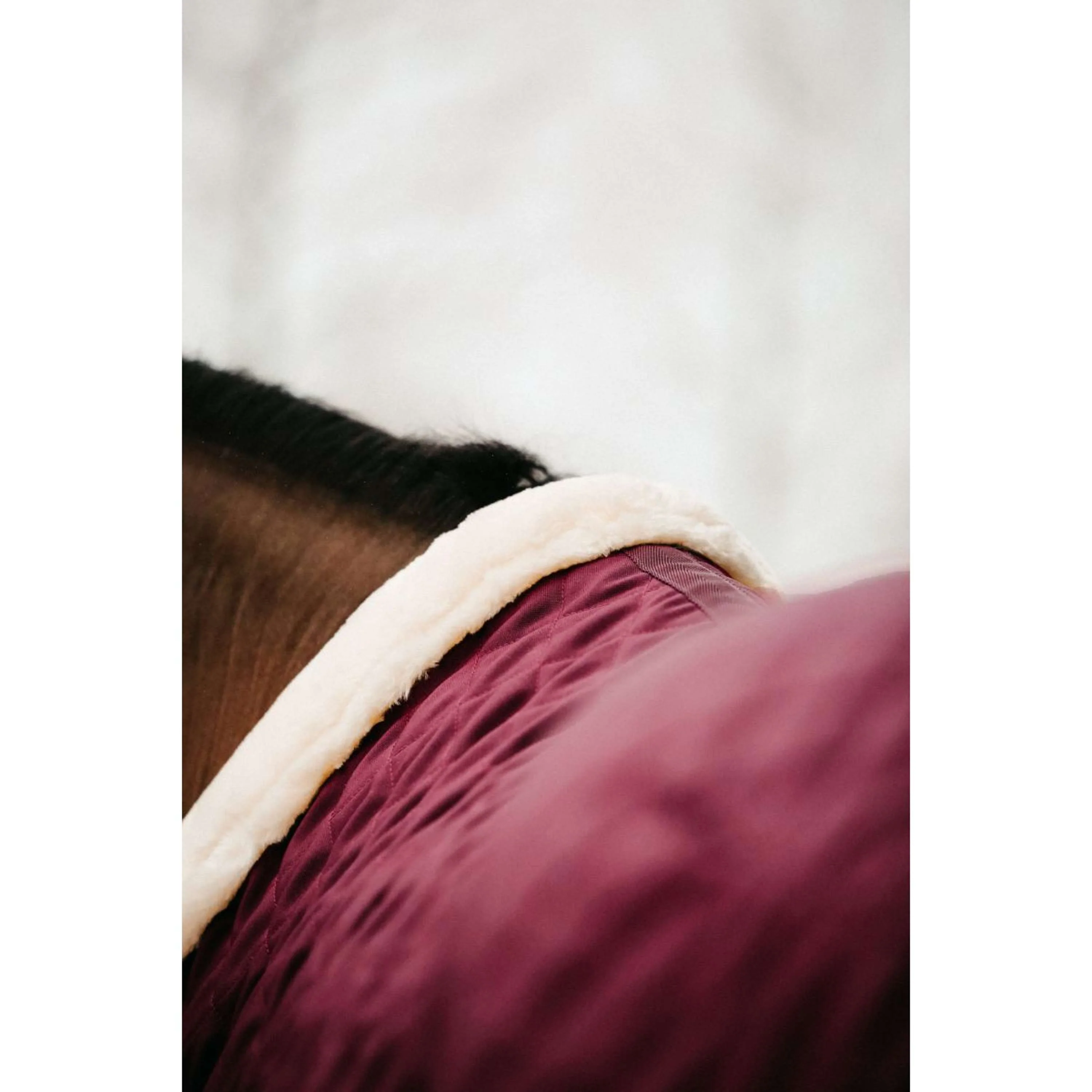 Kentucky Couverture de Concours 160g Bordeaux - Image 5