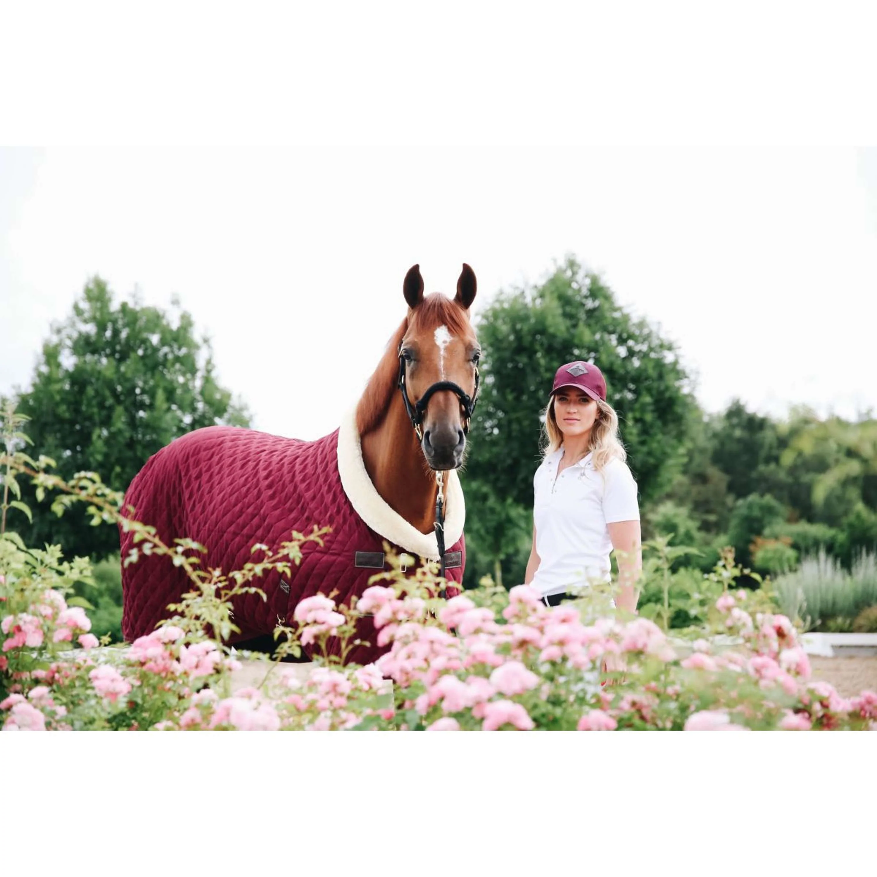 Kentucky Couverture de Concours 160g Bordeaux - Image 8