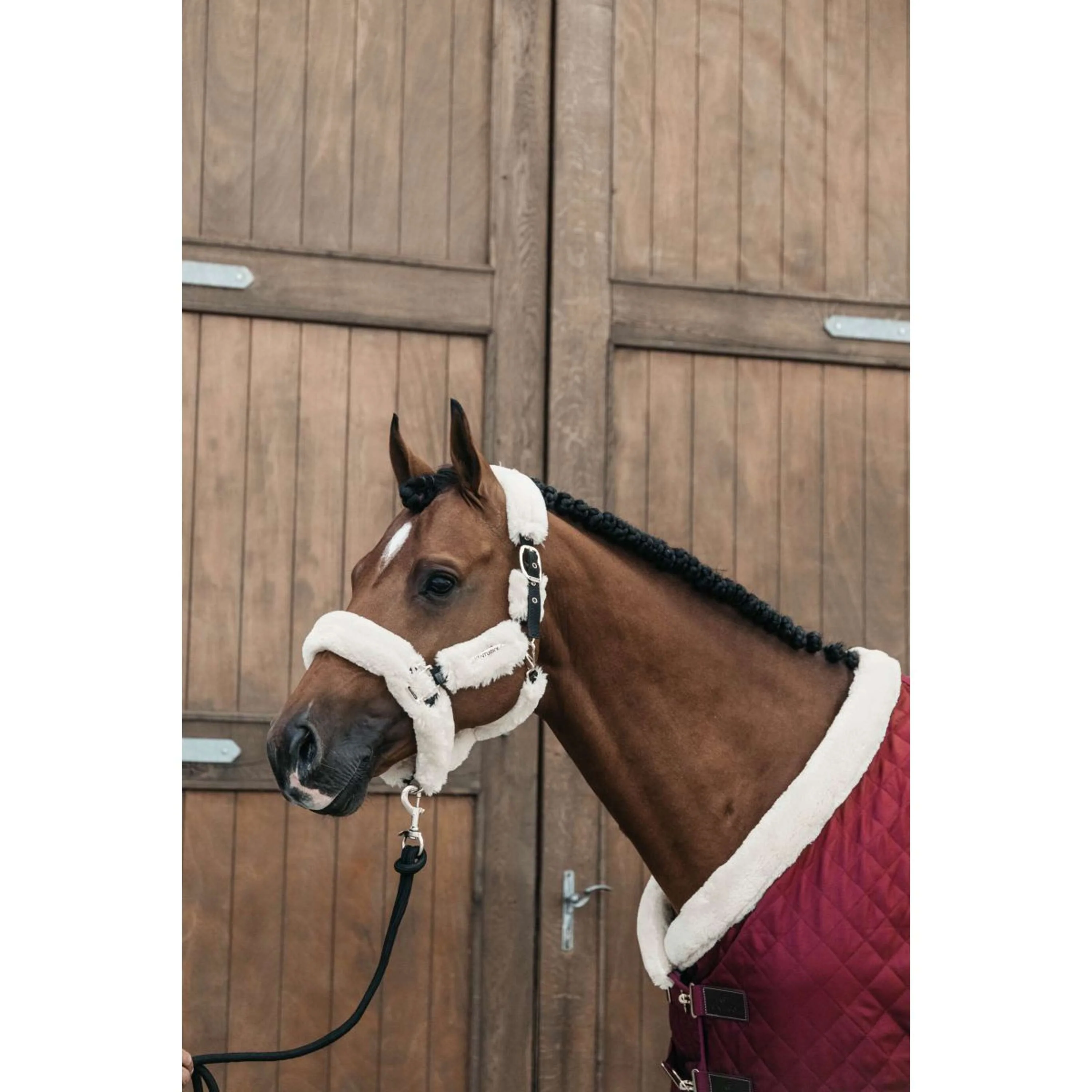 Kentucky Couverture de Concours 160g Bordeaux - Image 9