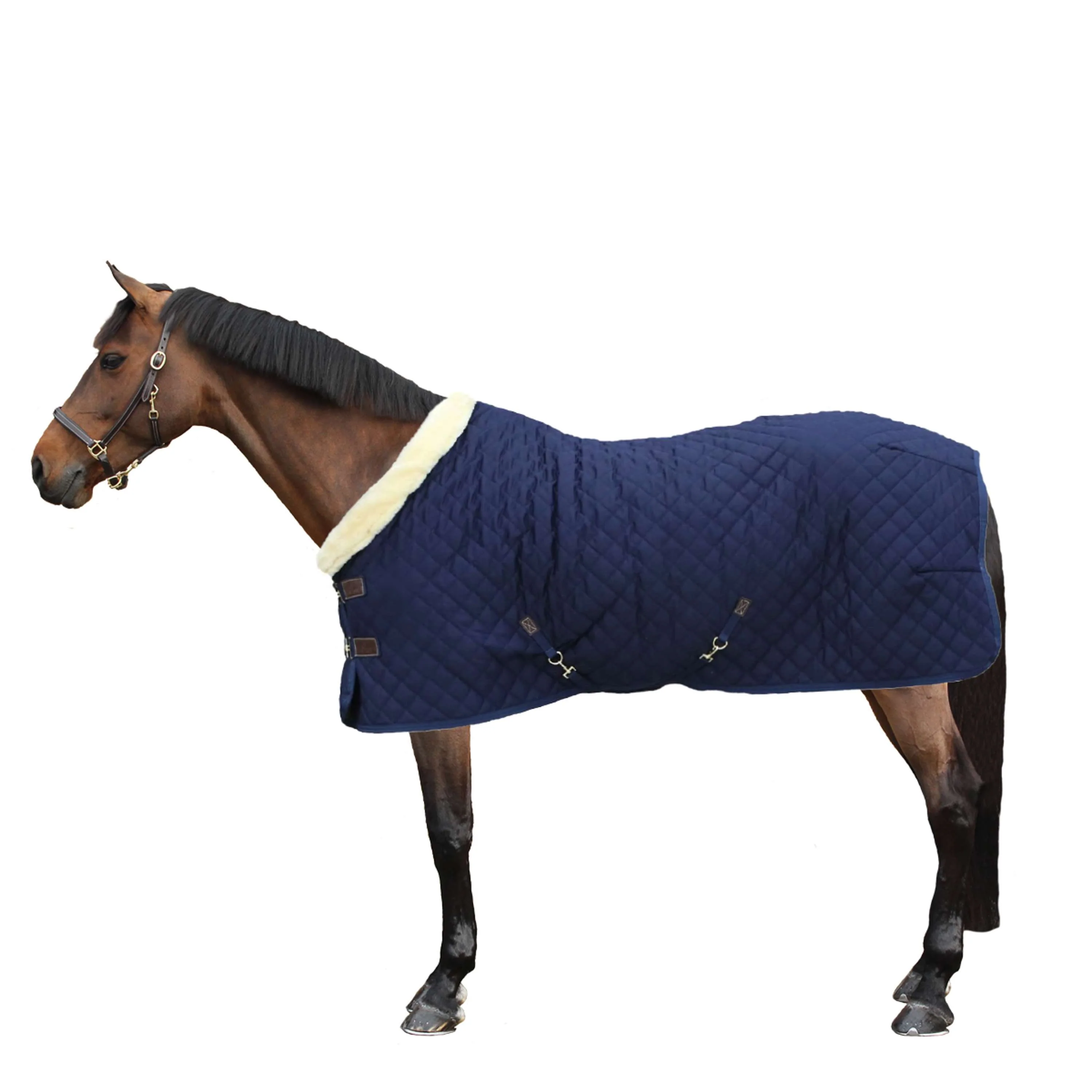 Kentucky Couverture de Concours 160g Marin - Image 2