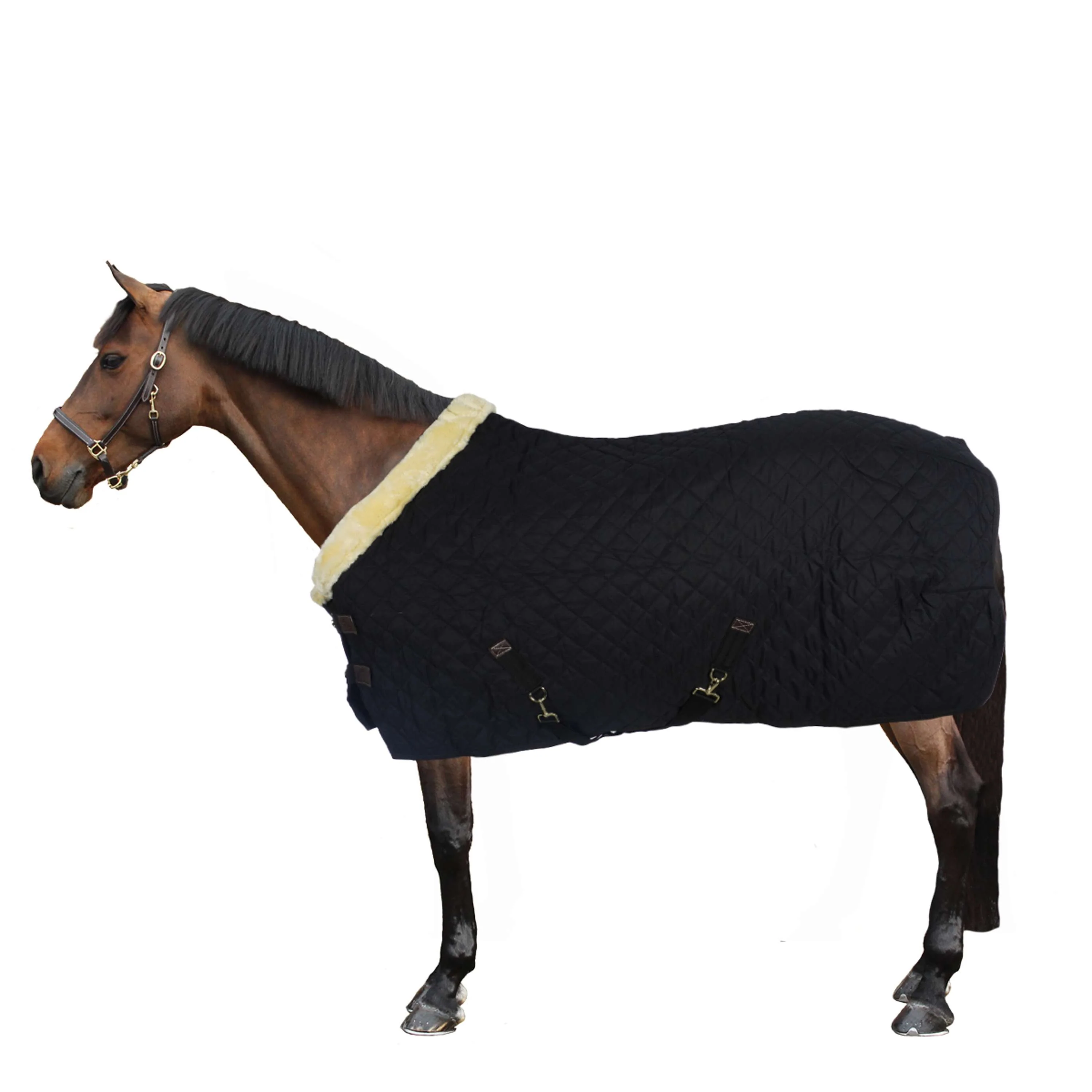 Kentucky Couverture de Concours 160g Noir/Natural - Image 3
