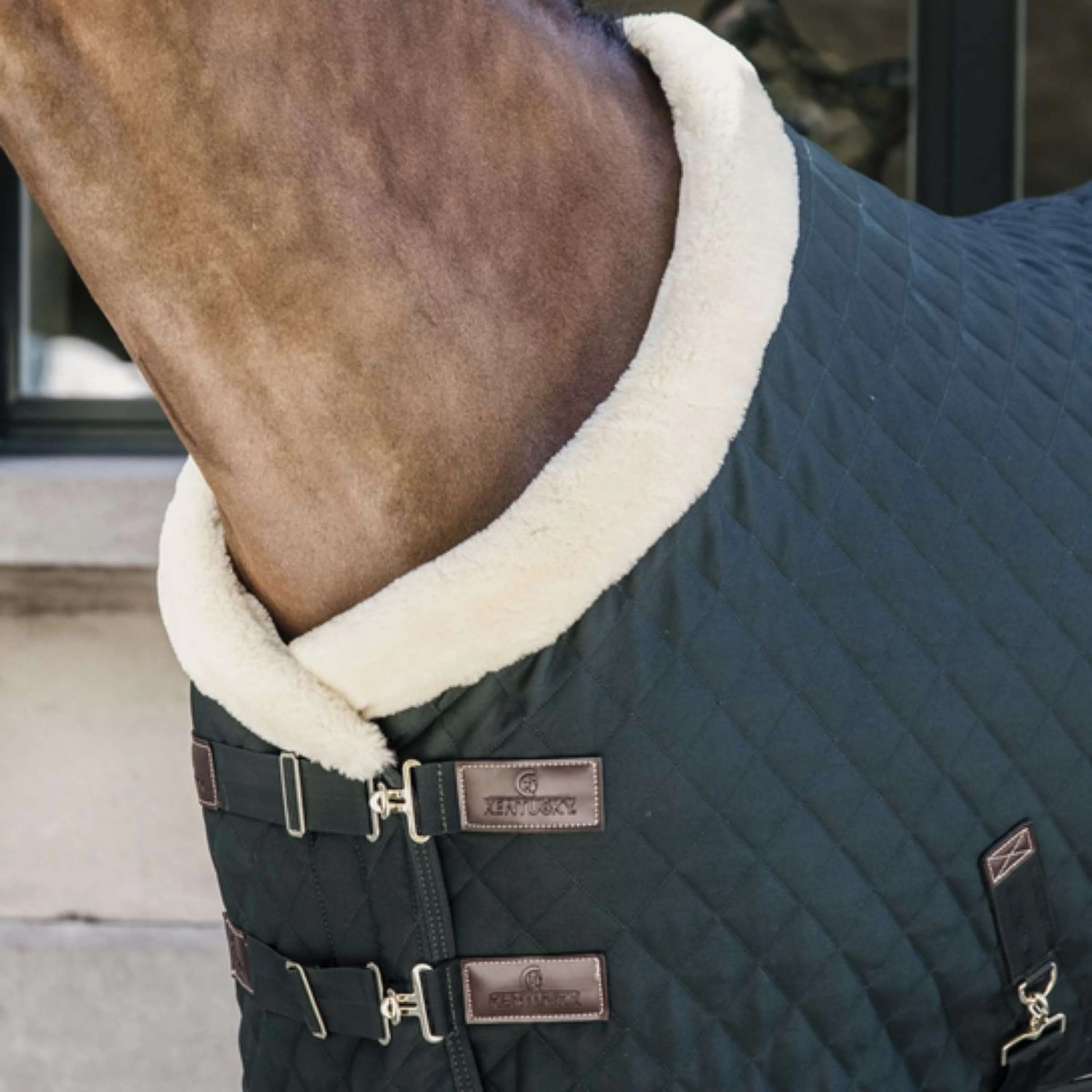 Kentucky Couverture de Concours 160g Vert Foncé - Image 2