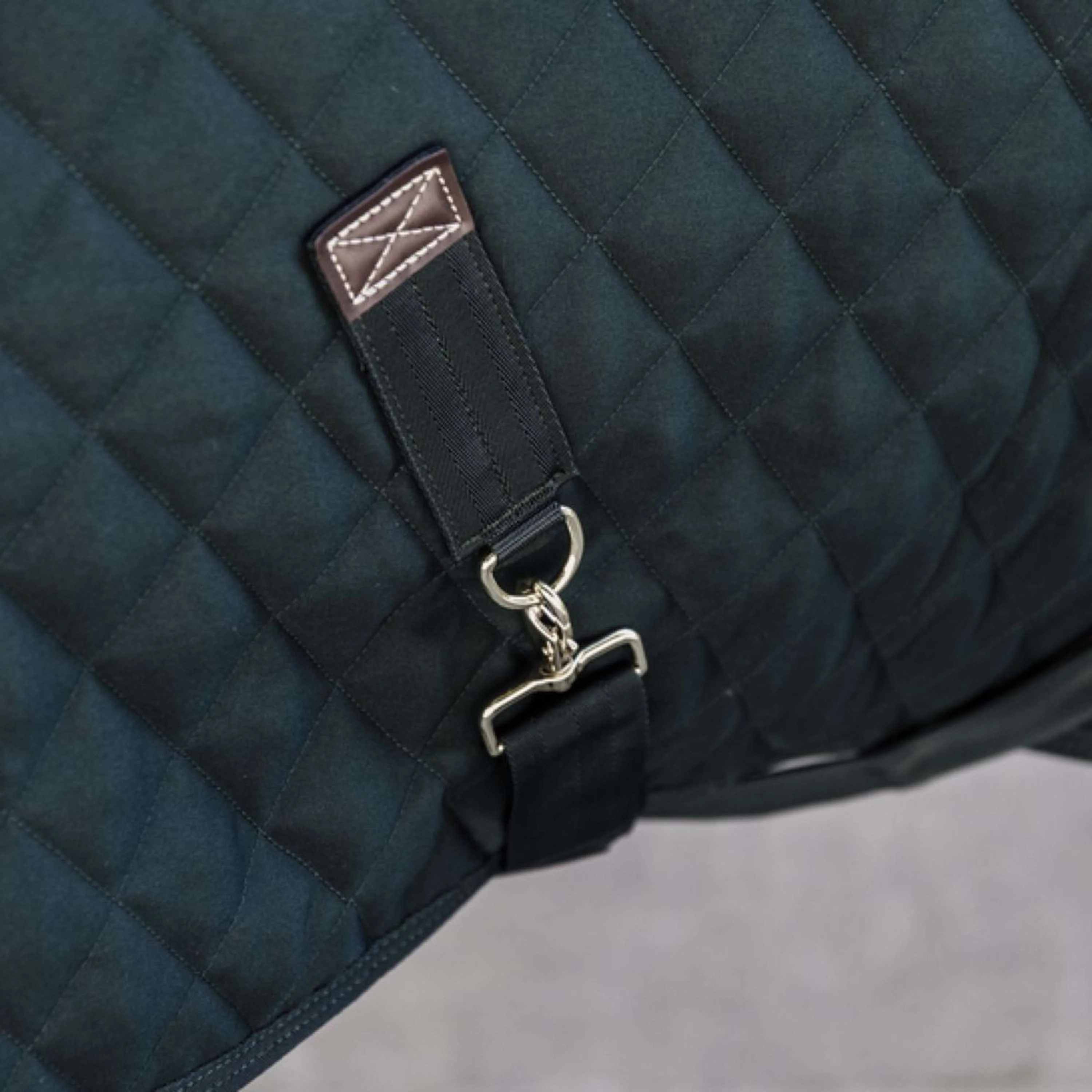 Kentucky Couverture de Concours 160g Vert Foncé - Image 3