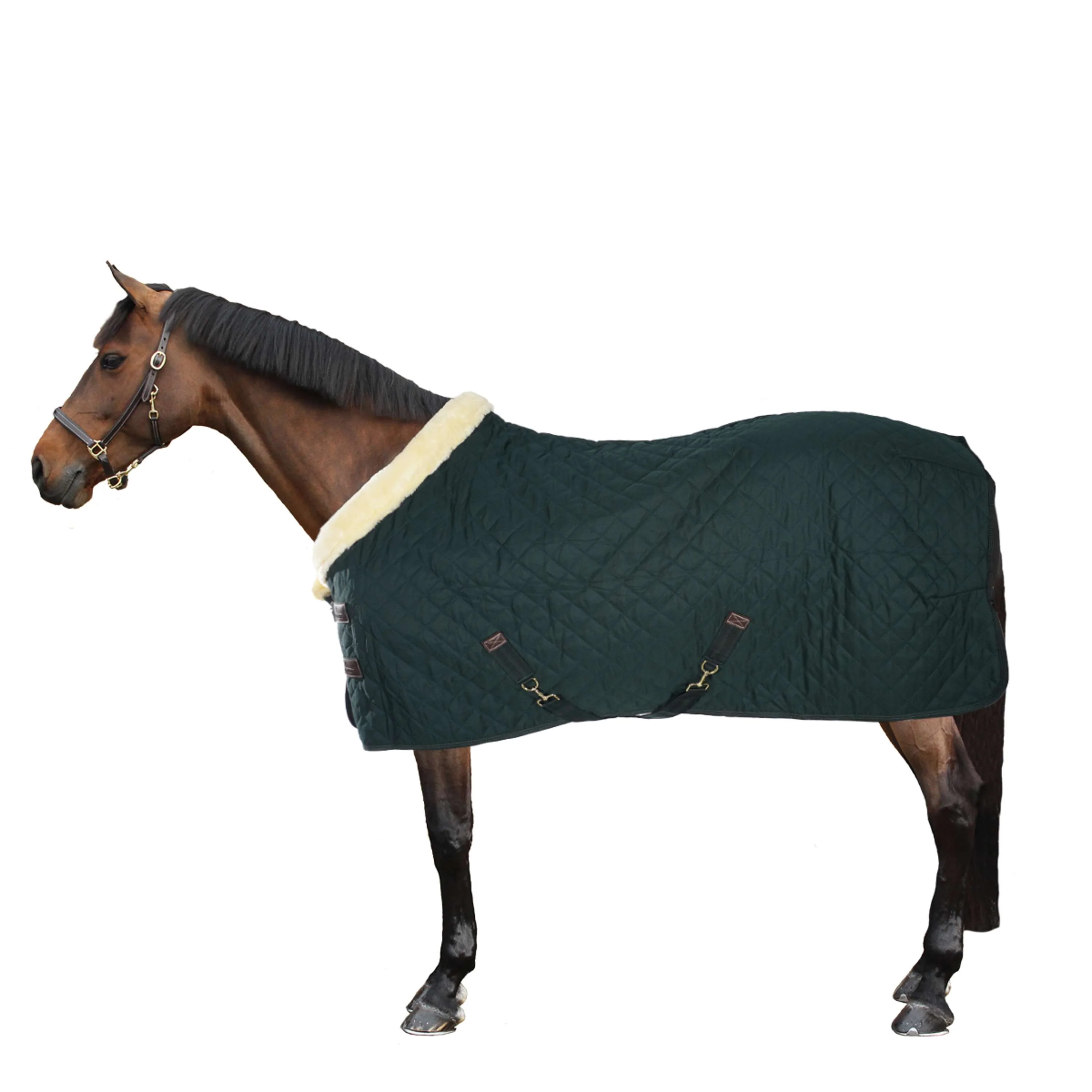 Kentucky Couverture de Concours 160g Vert Foncé - Image 5