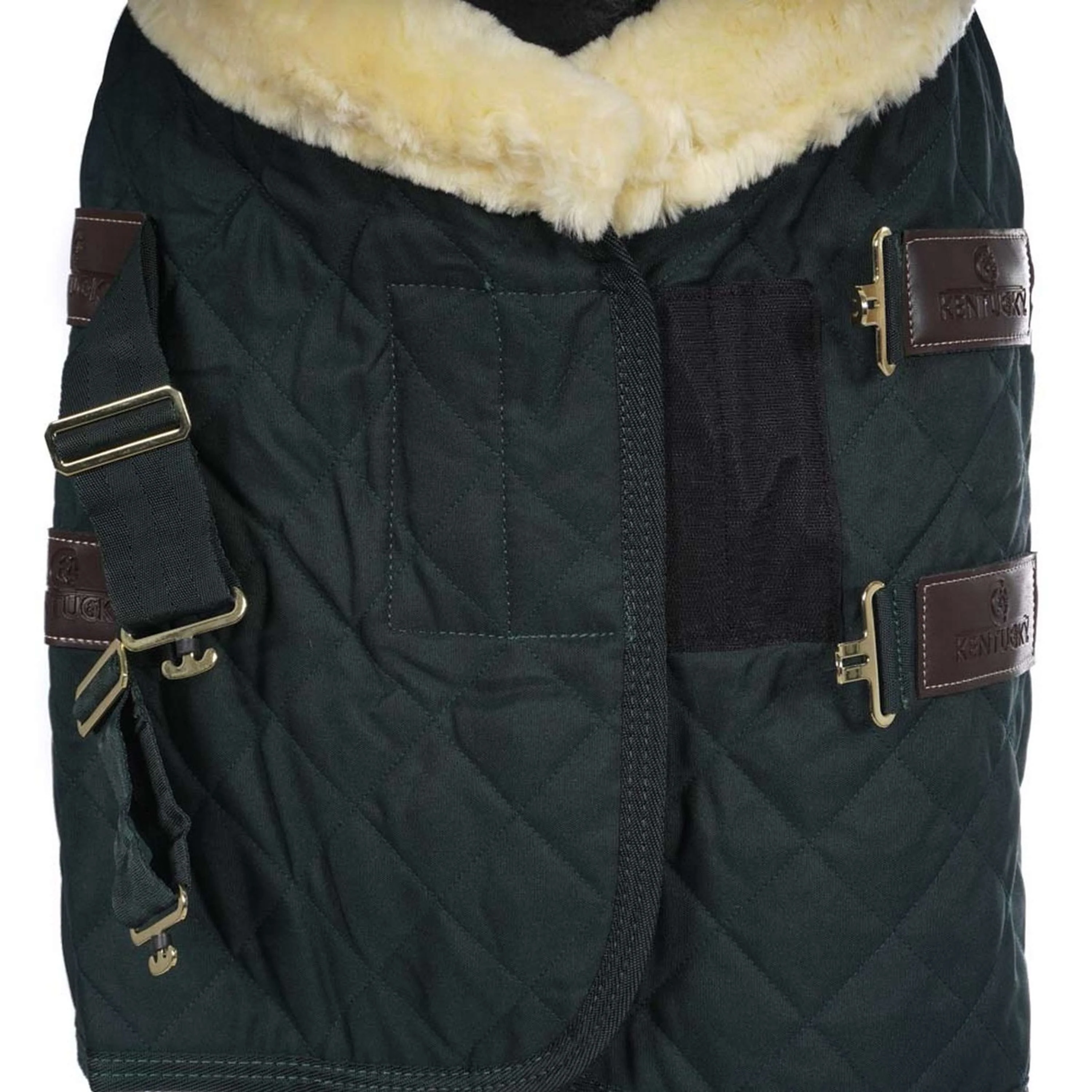Kentucky Couverture de Concours 160g Vert Foncé - Image 7