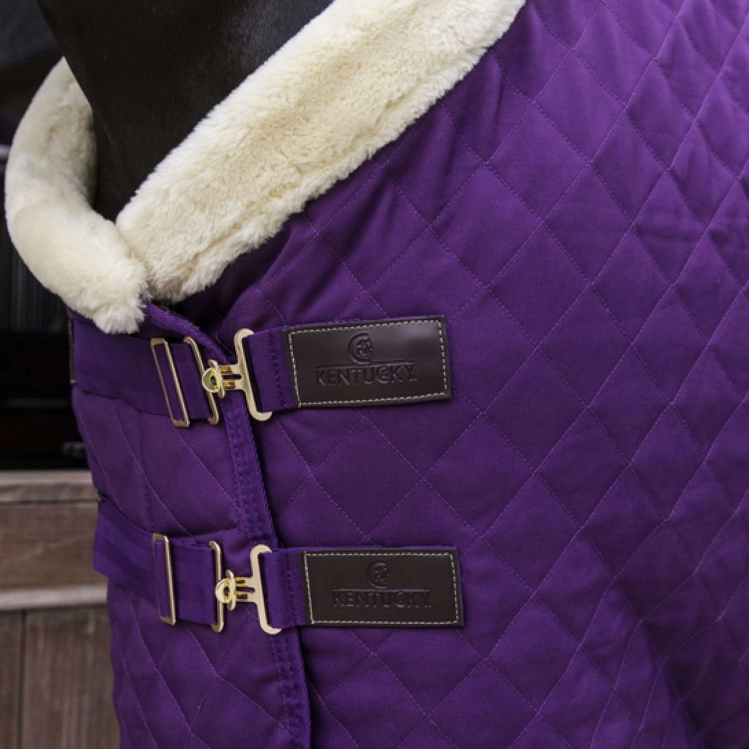 Kentucky Couverture de Concours 160g Violet - Image 4