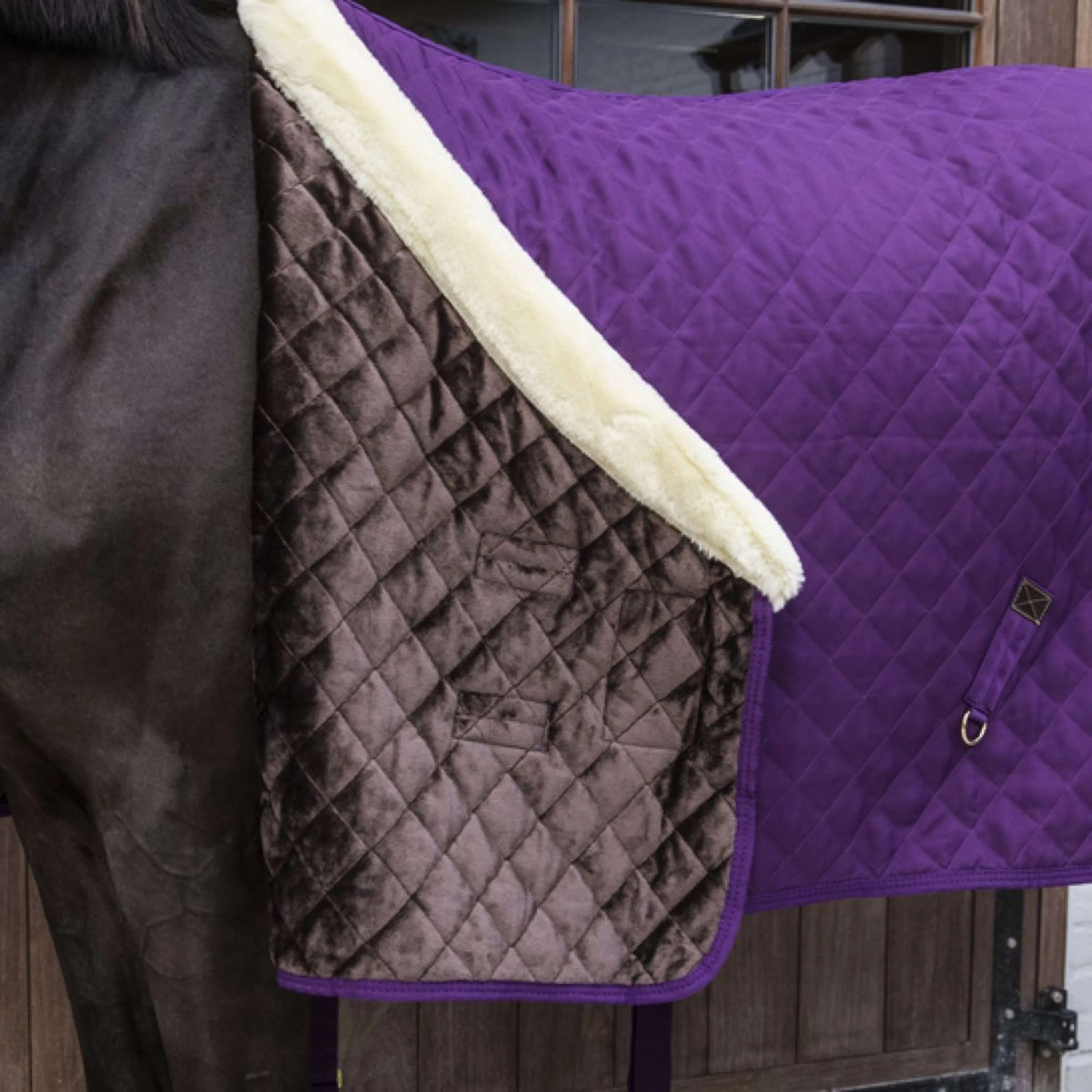 Kentucky Couverture de Concours 160g Violet - Image 5