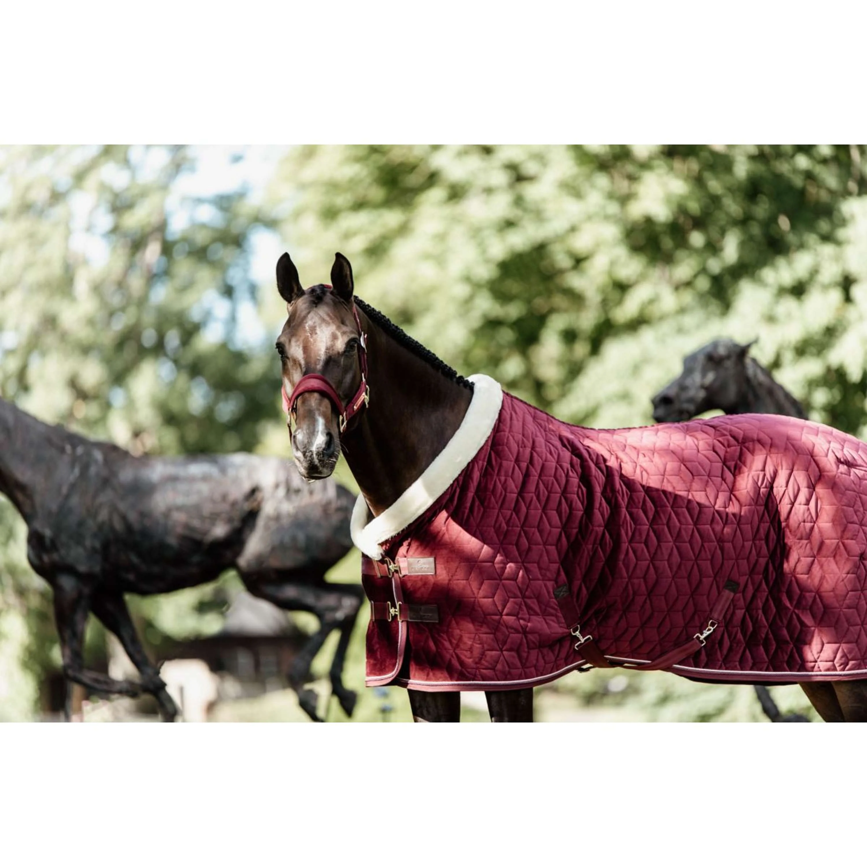 Kentucky Couverture de Concours velours 160g Bordeaux - Image 2