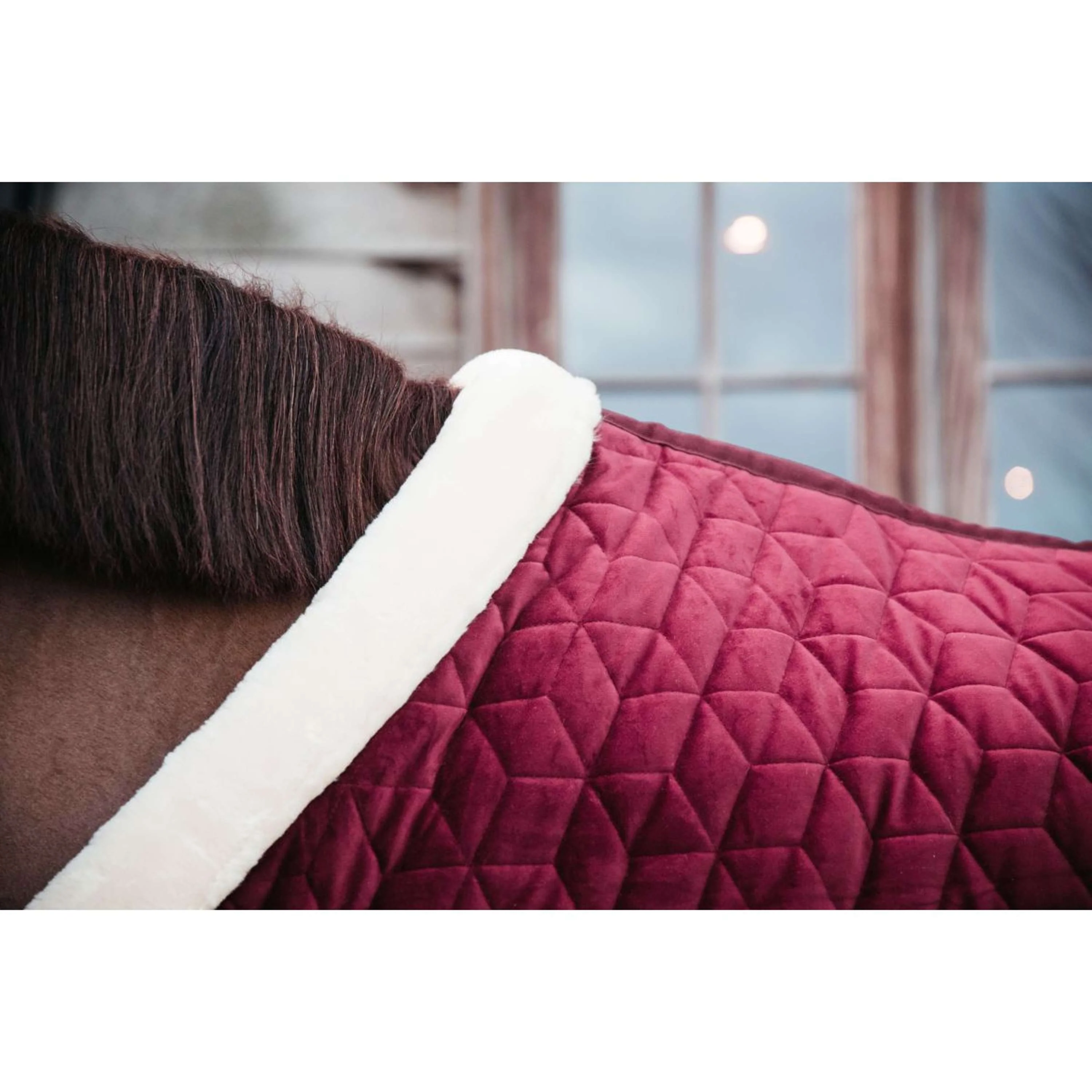 Kentucky Couverture de Concours velours 160g Bordeaux - Image 3