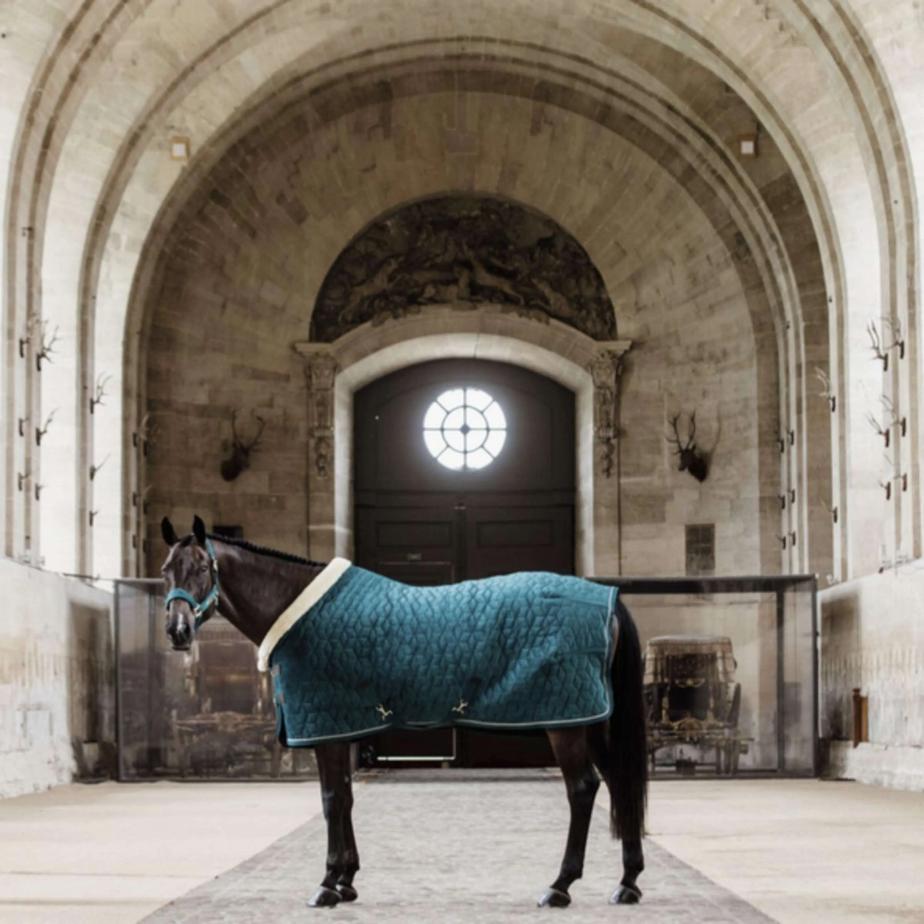 Kentucky Couverture de Concours velours 160g Émeraude - Image 2