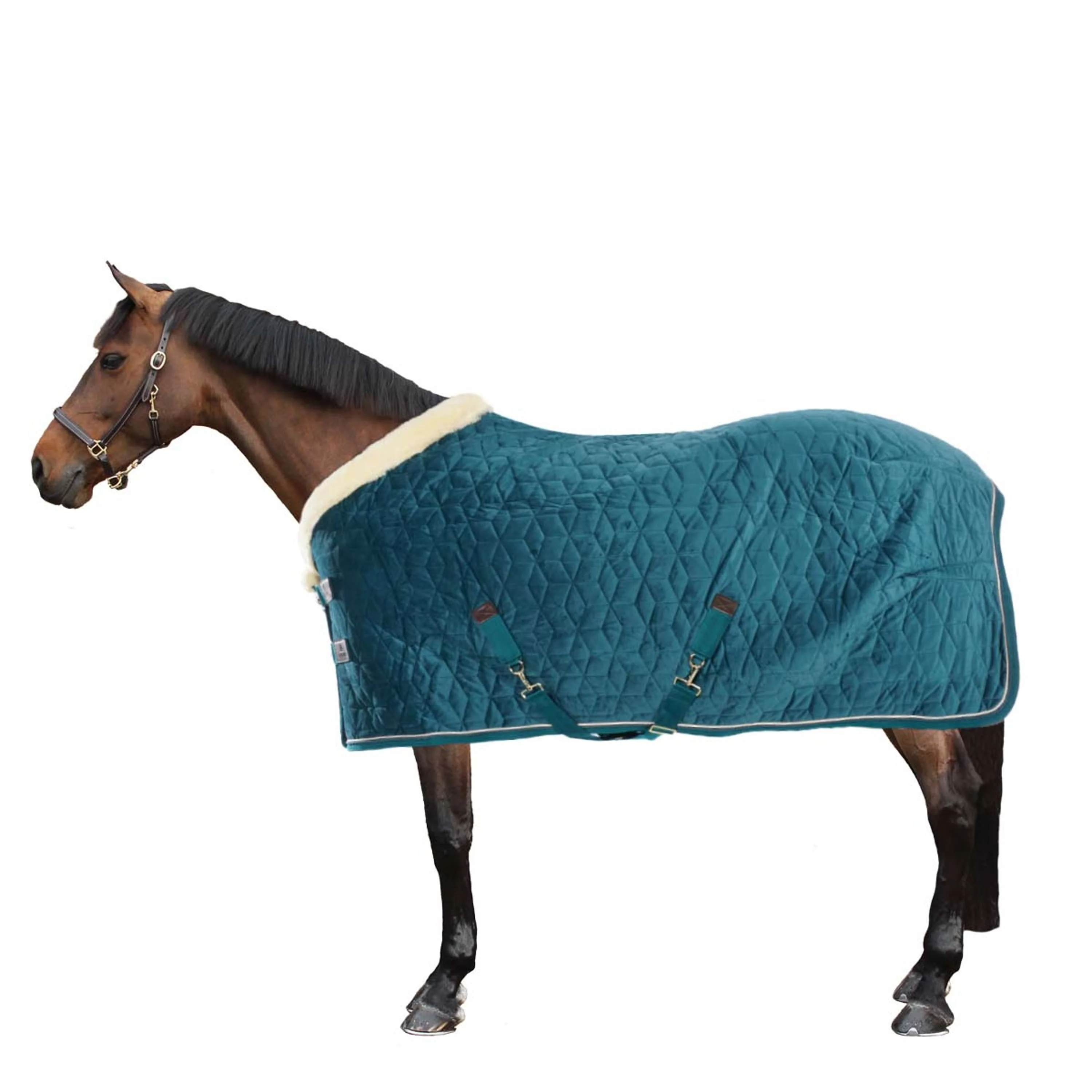 Kentucky Couverture de Concours velours 160g Émeraude - Image 3