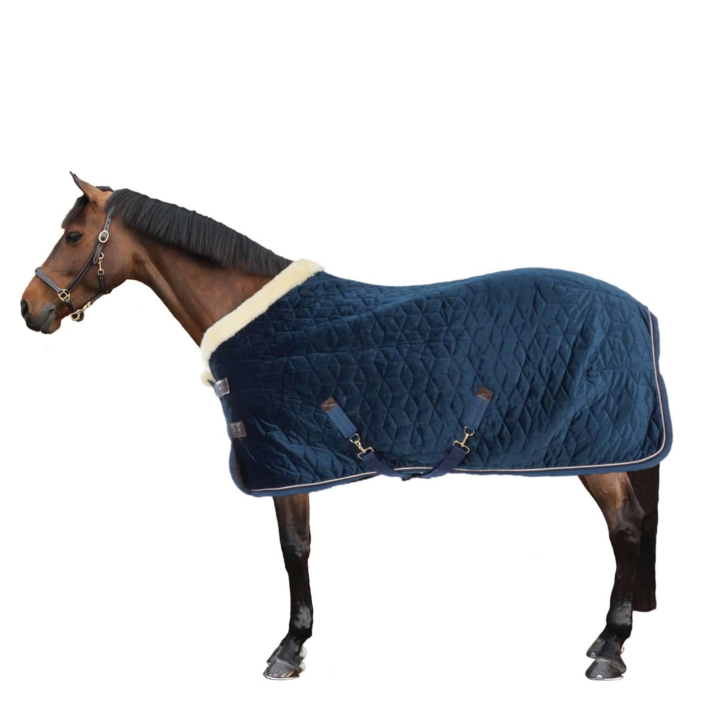 Kentucky Couverture de Concours velours 160g Marin - Image 4