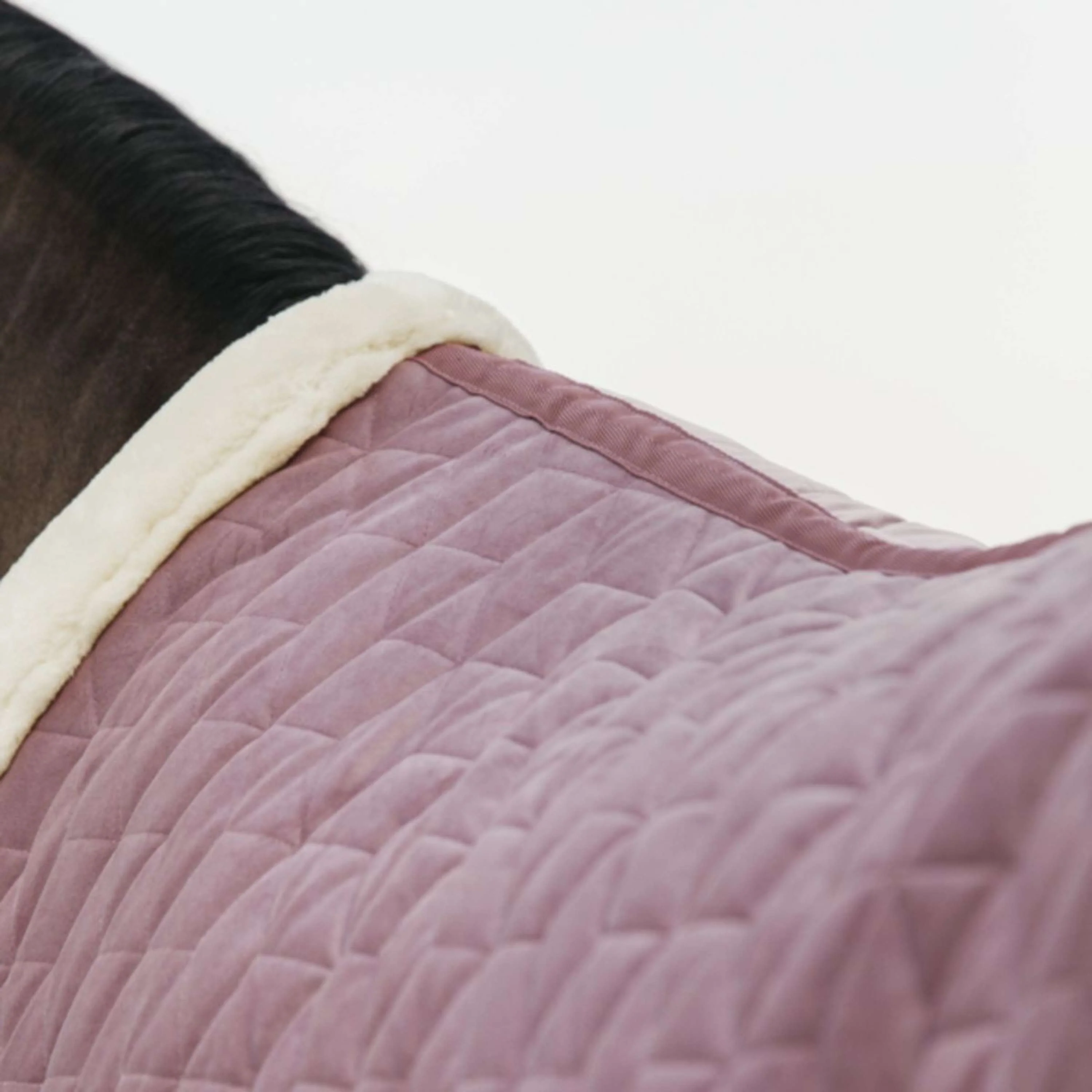 Kentucky Couverture de Concours velours 160g Rose Vieux - Image 3