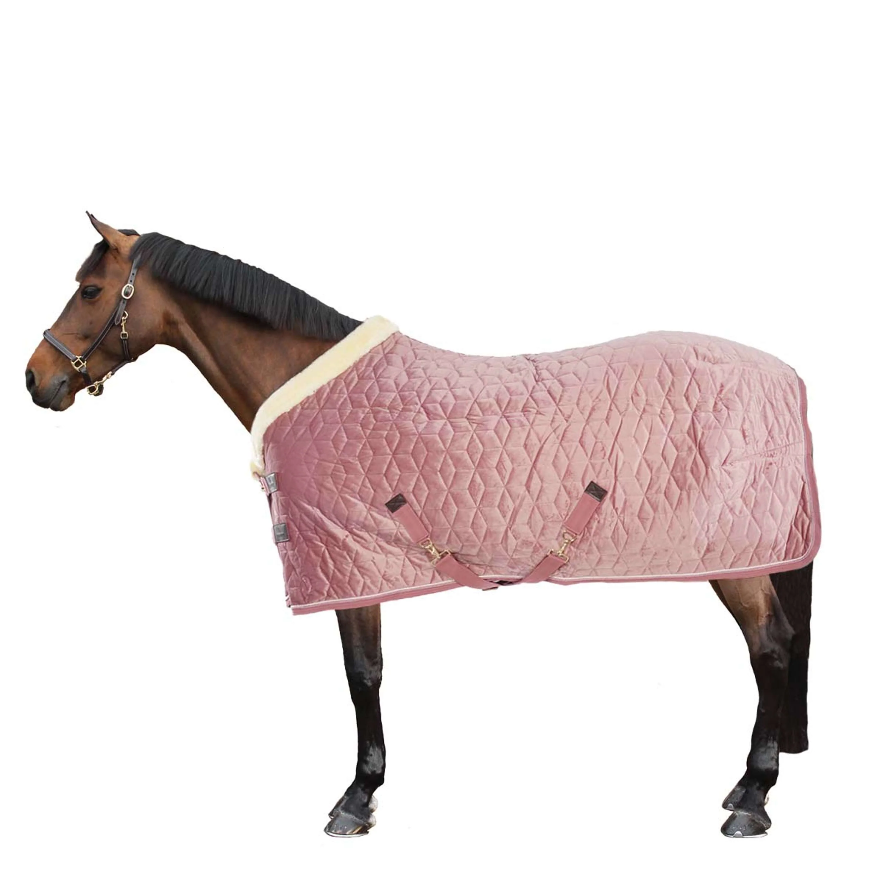 Kentucky Couverture de Concours velours 160g Rose Vieux - Image 5