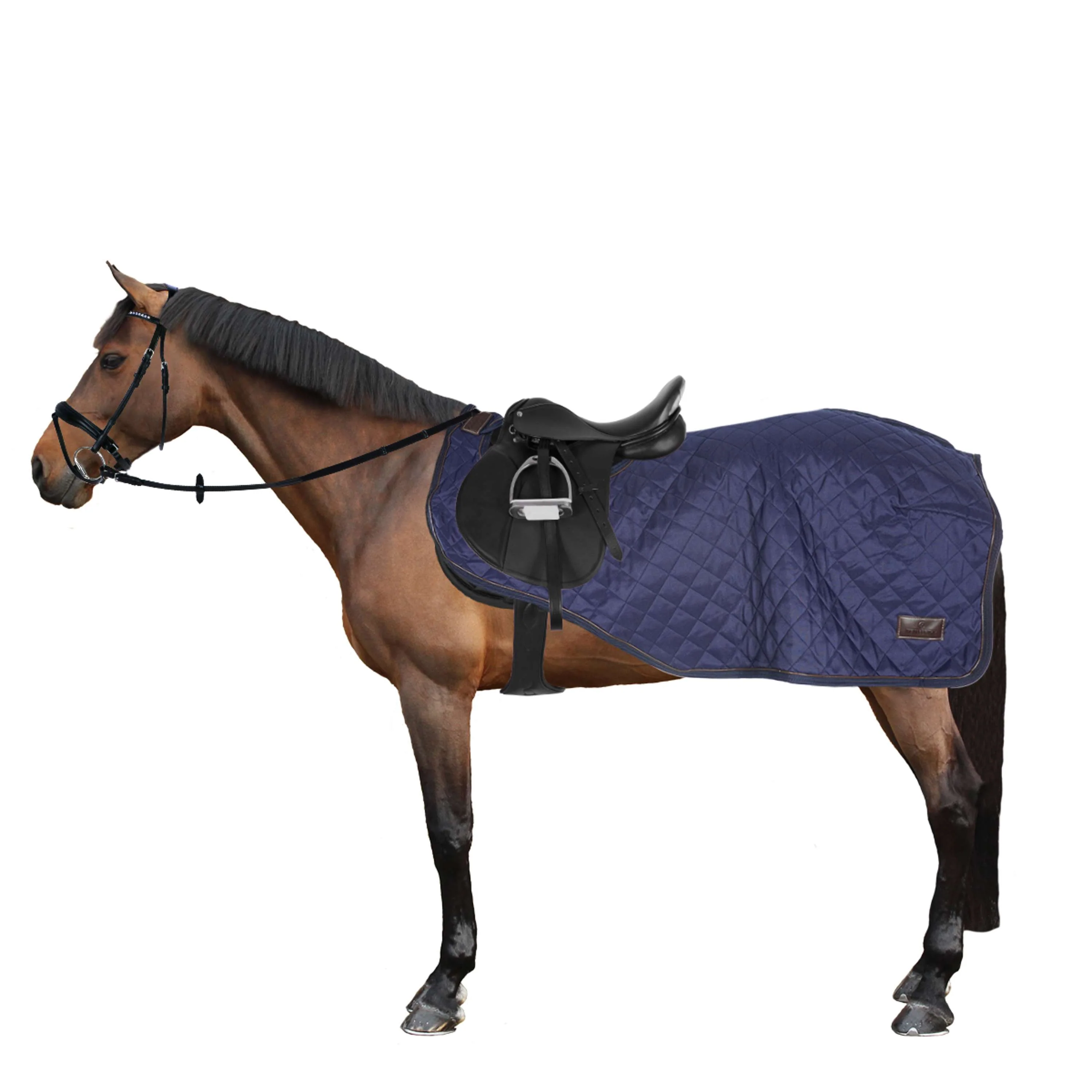Kentucky Couverture de Marcheur 160g Marin - Image 4