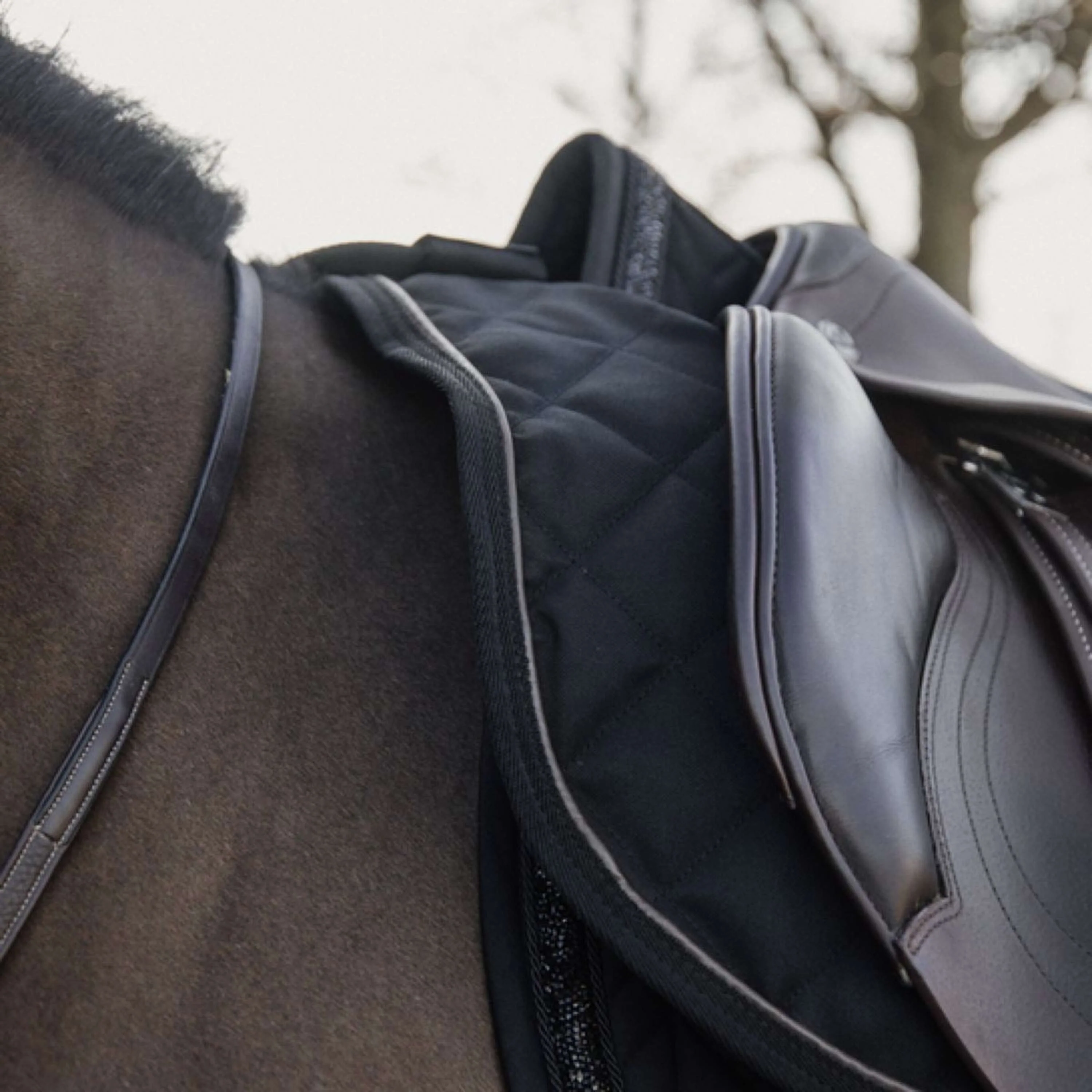 Kentucky Couvre-reins 160g Noir - Image 2
