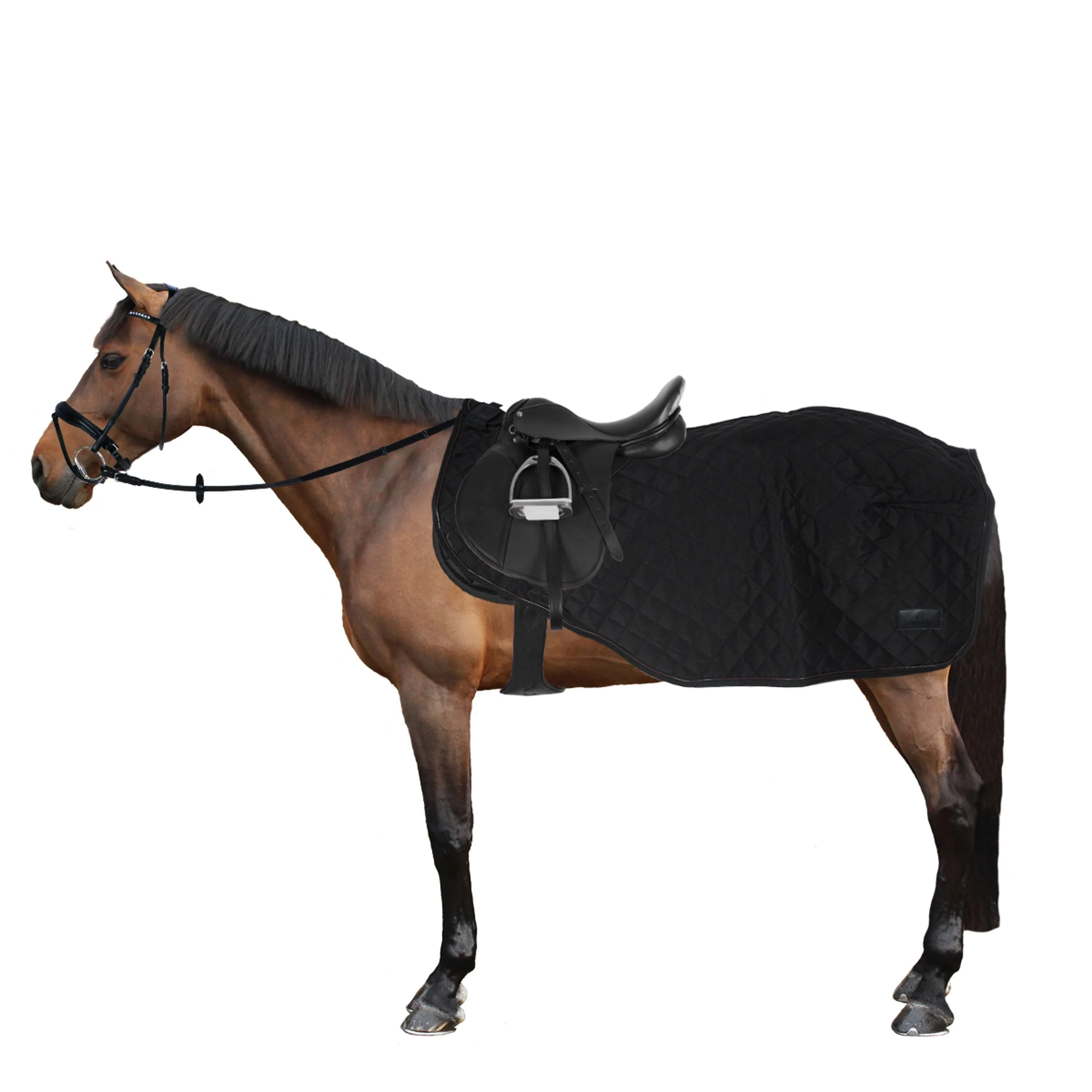 Kentucky Couvre-reins 160g Noir - Image 4