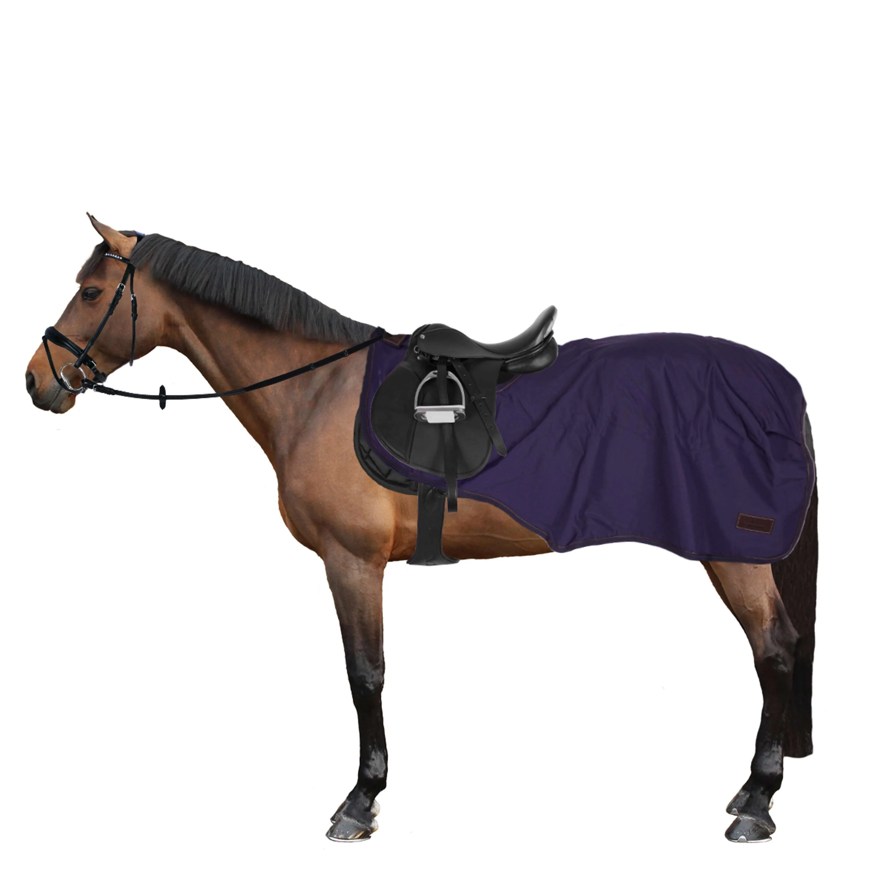 Kentucky Couverture de Marcheur All Weather 160g Marin - Image 2