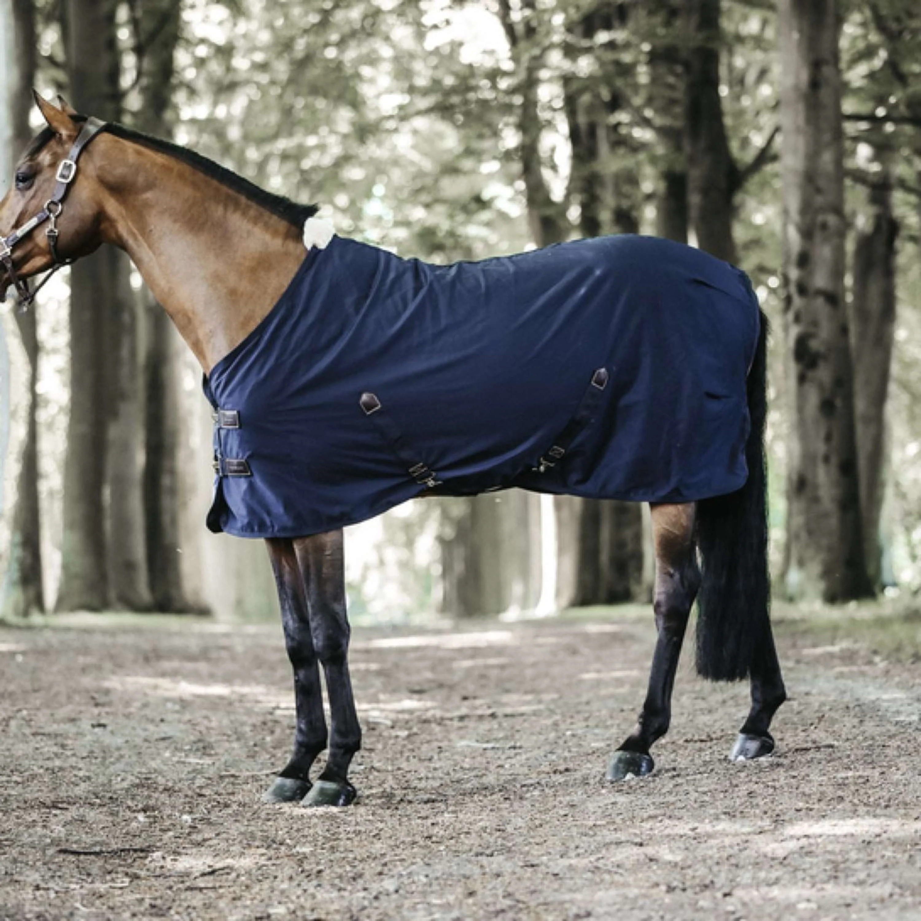 Kentucky Couverture en Coton Marin - Image 2