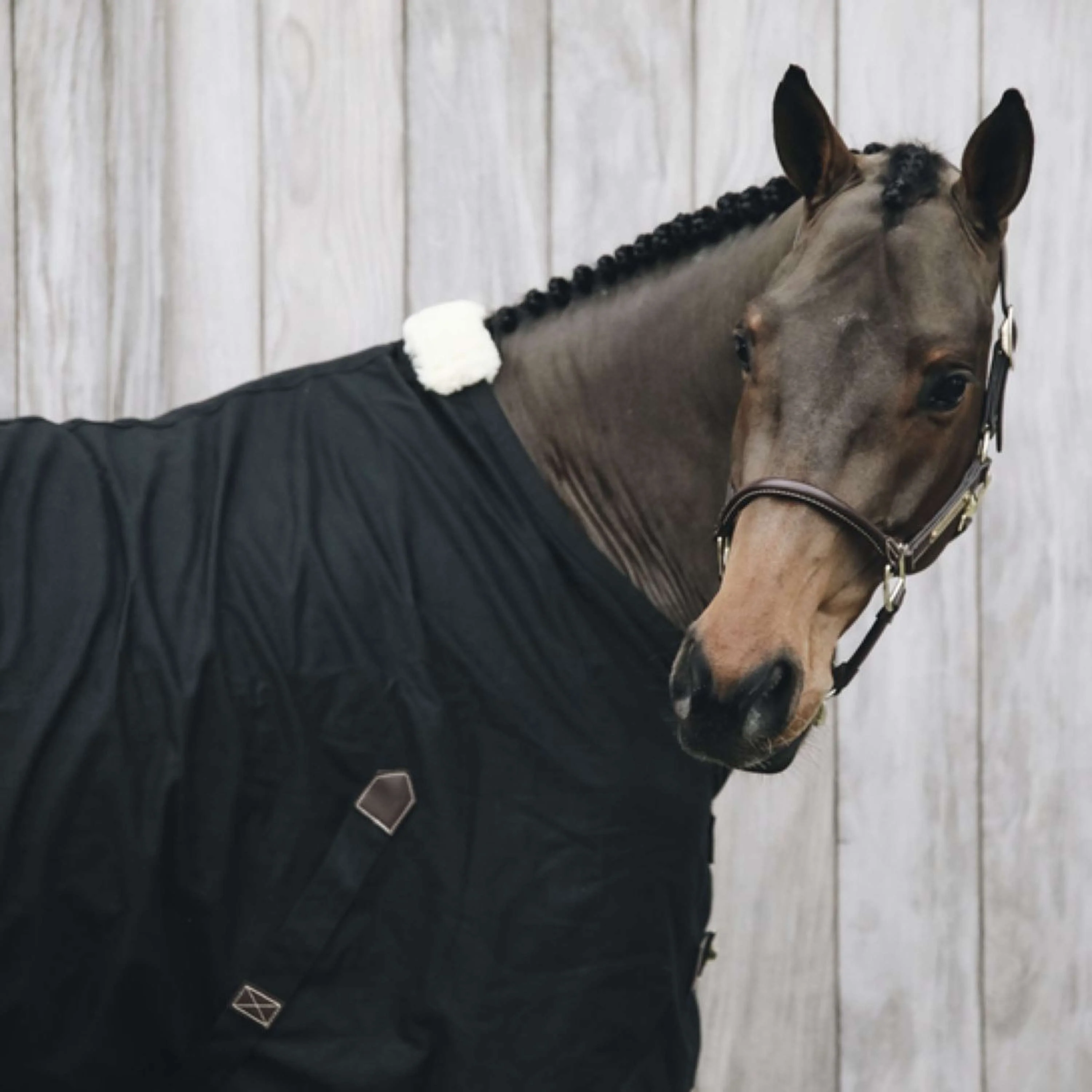 Kentucky Couverture en Coton Noir - Image 2