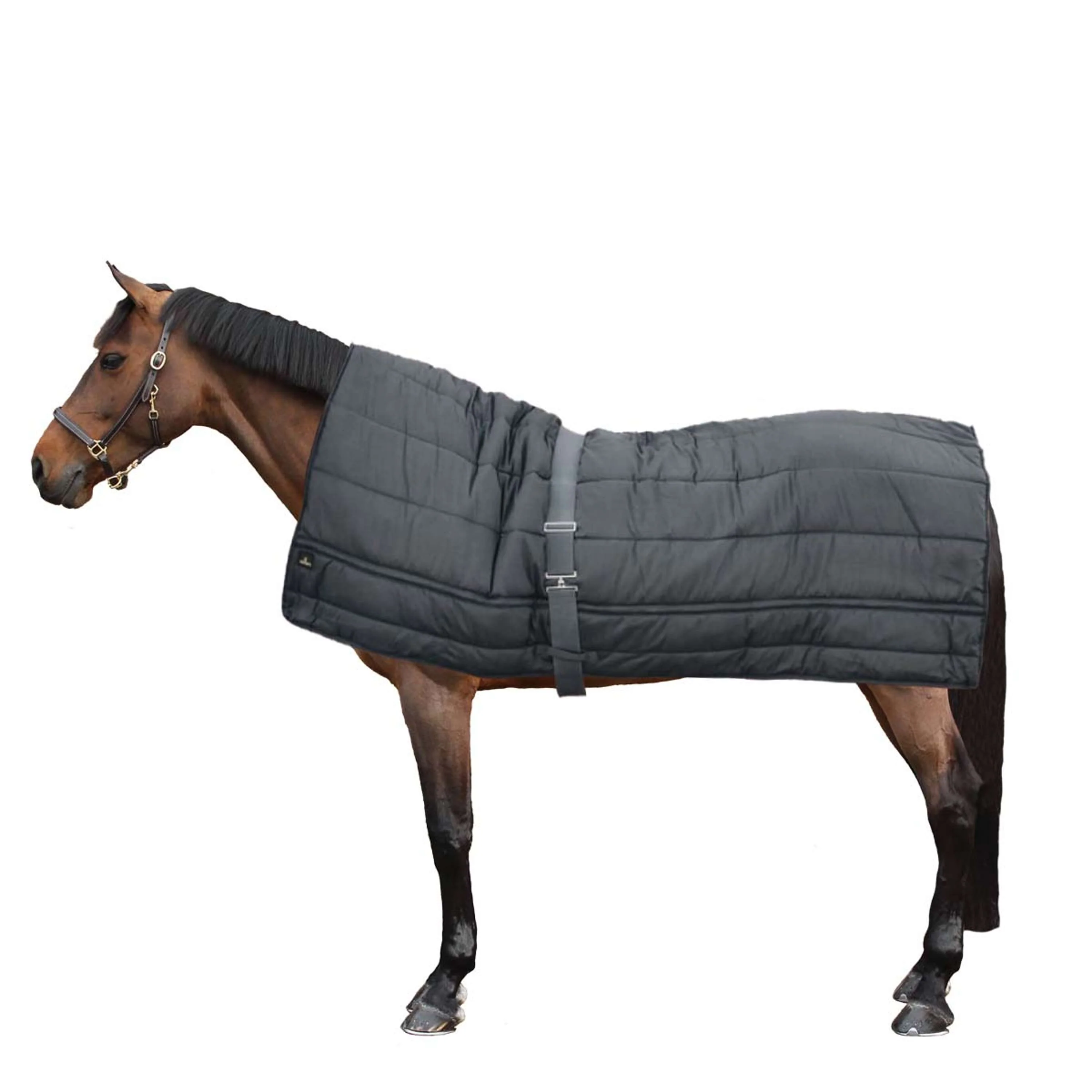 Kentucky Couverture Horse Duvet 300g Noir - Image 2