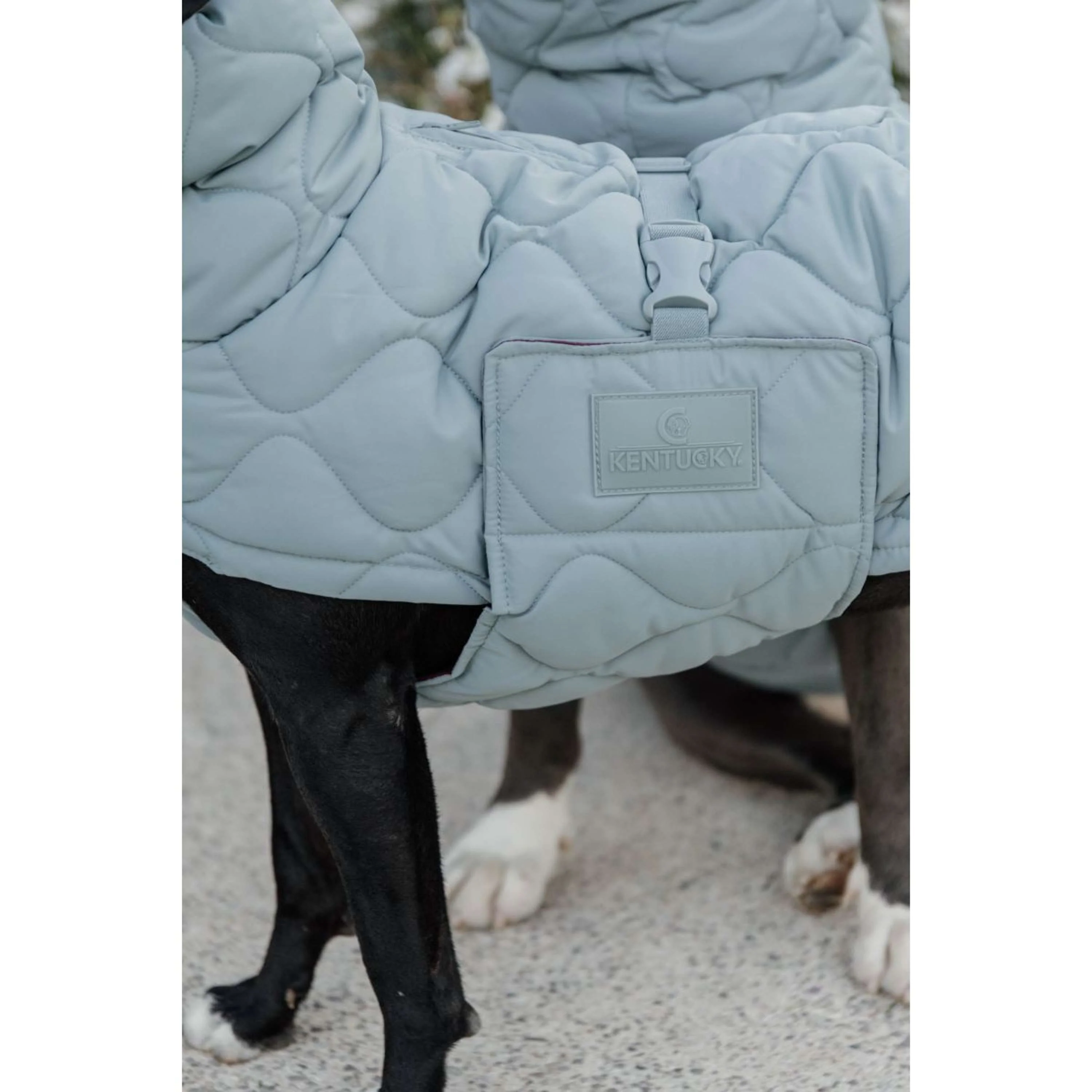Kentucky Couverture pour Chien Winter Pina 160g Dusty Blue - Image 8