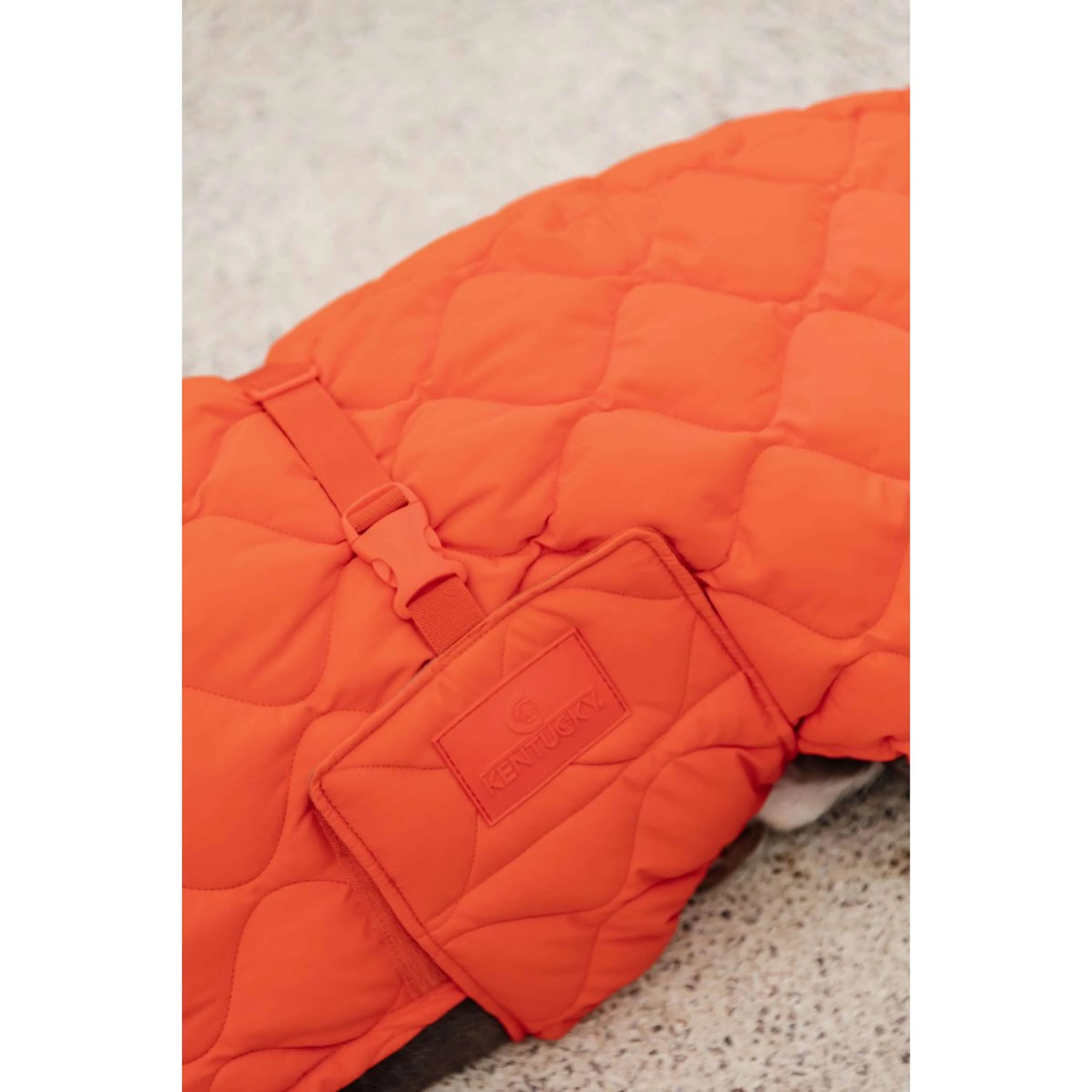 Kentucky Couverture pour Chien Winter Pina 160g Orange - Image 7