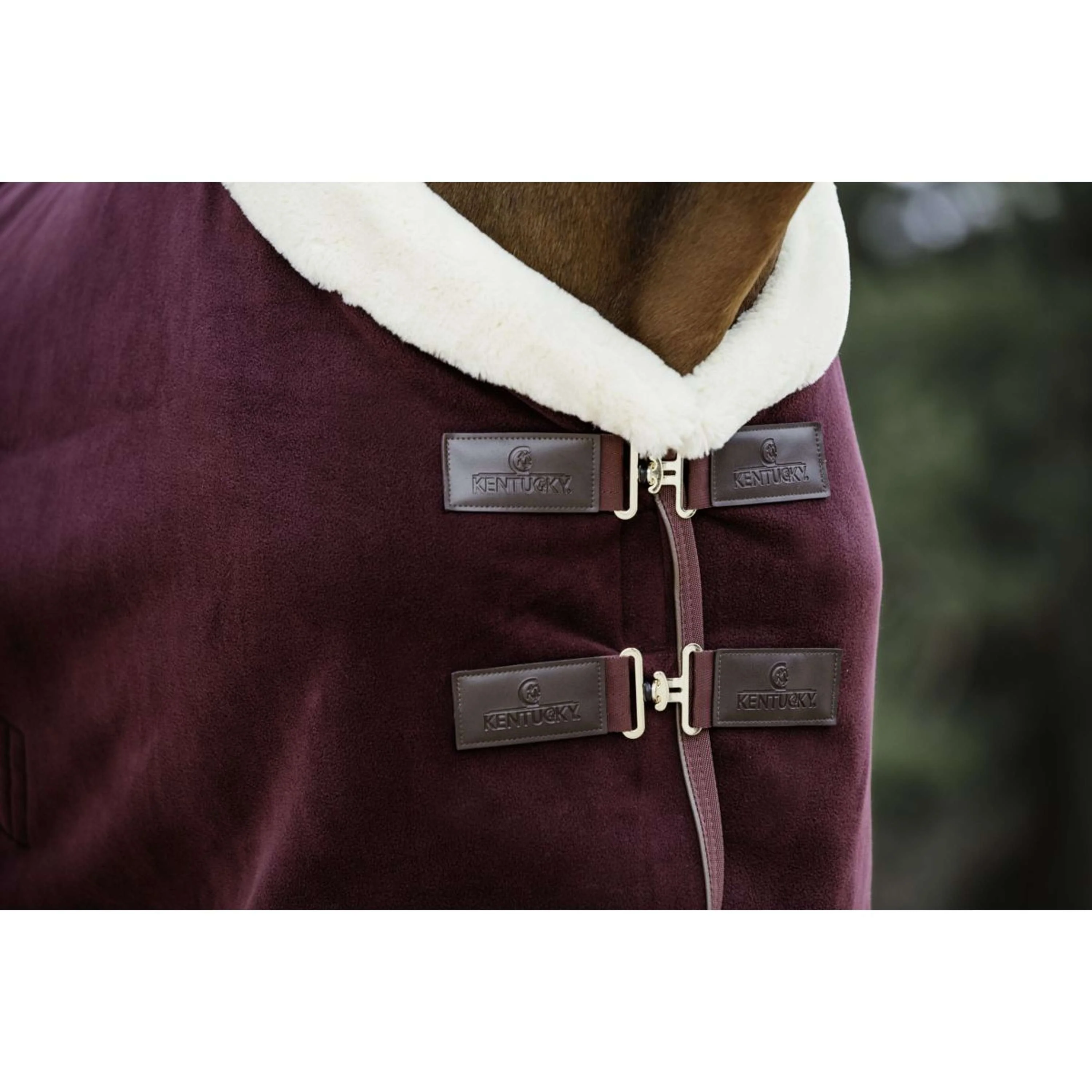 Kentucky Couvertures Anti-Transpiration Show Fleece Heavy Bordeaux - Image 2
