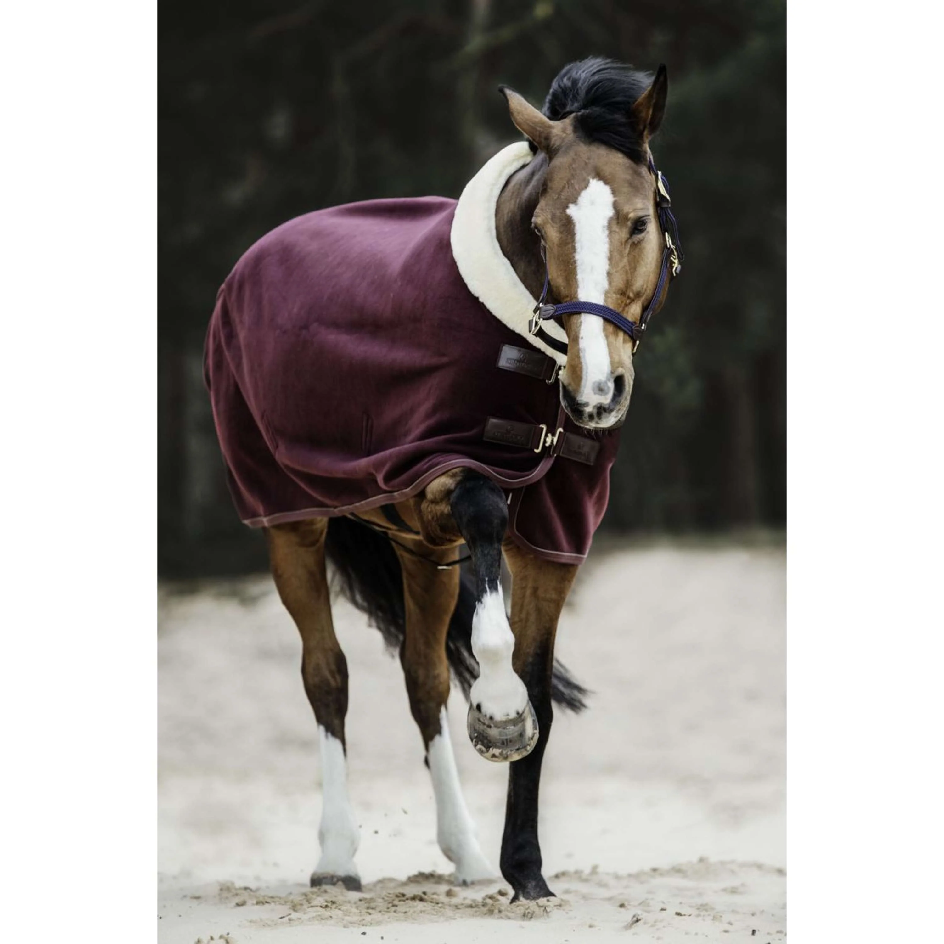 Kentucky Couvertures Anti-Transpiration Show Fleece Heavy Bordeaux - Image 3